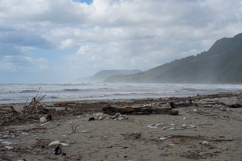 a beach with a bunch of debris on it