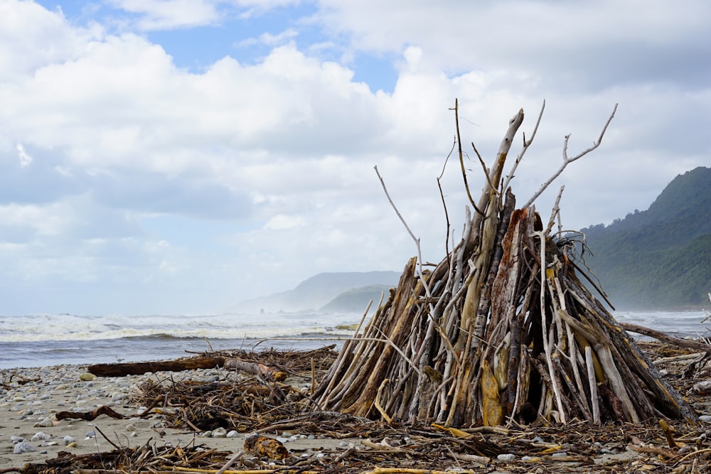a pile of sticks sitting on top of a sandy beach