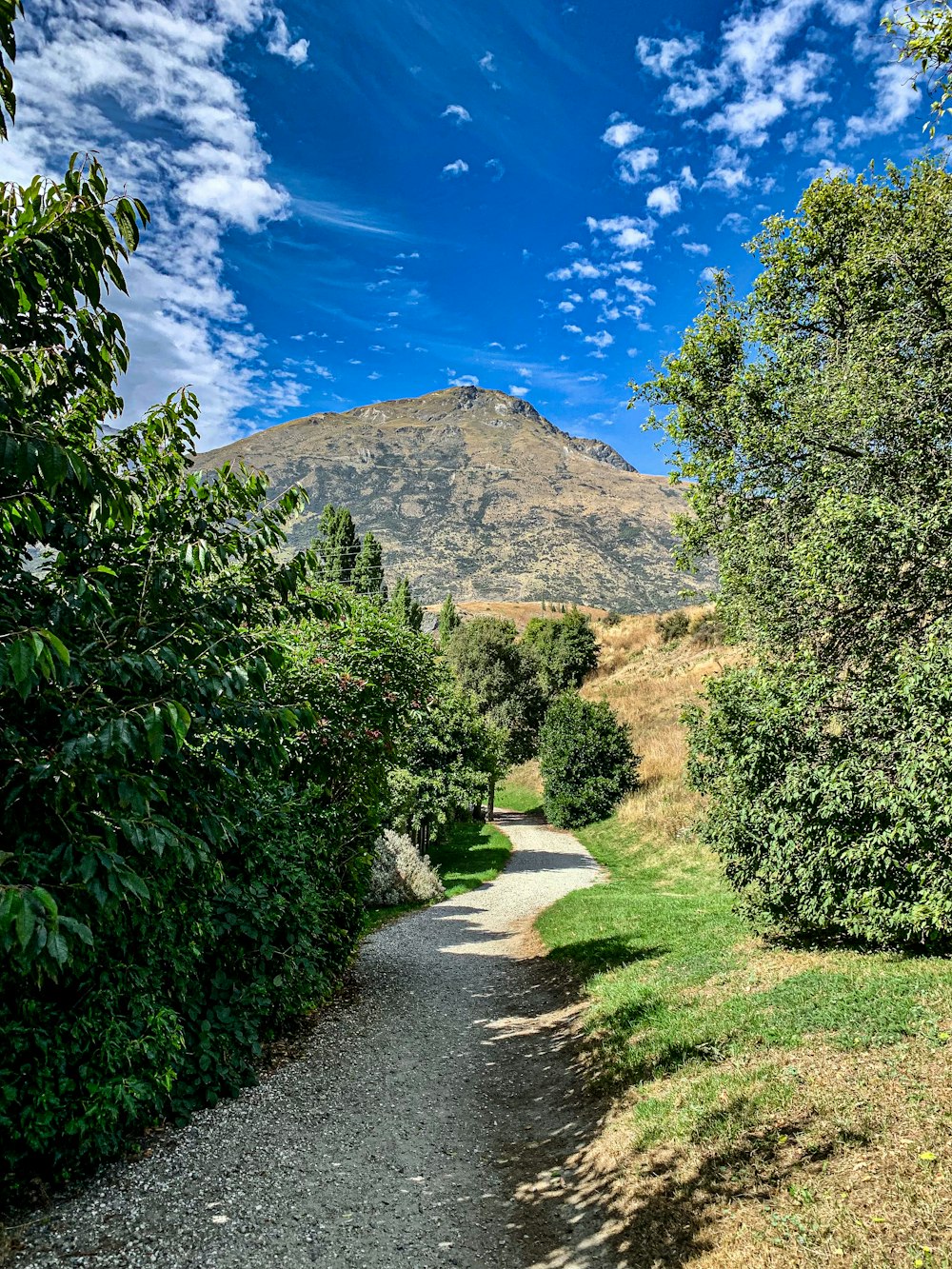 a dirt road surrounded by trees and a mountain in the background