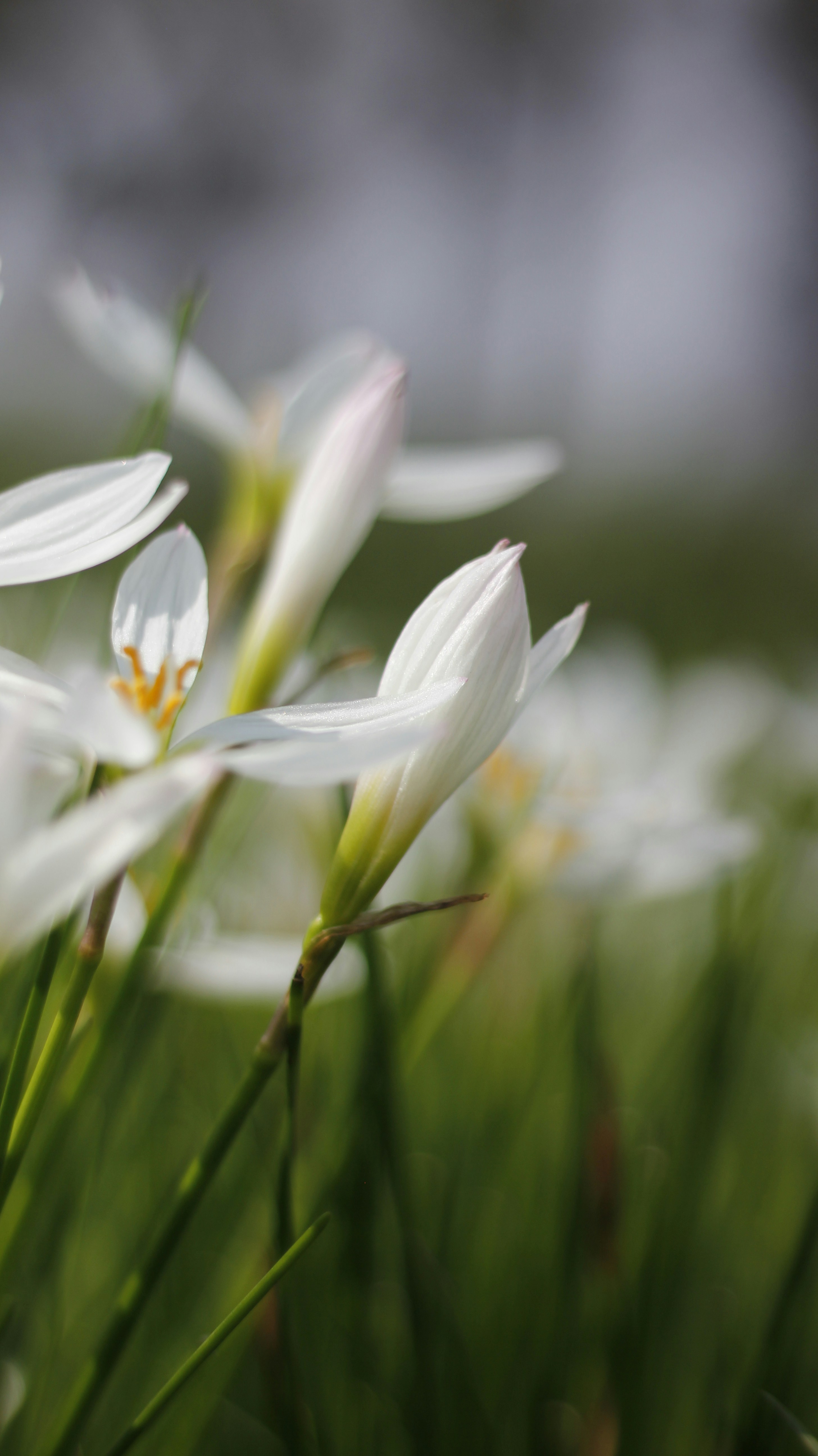 Photo by uttam_kumar