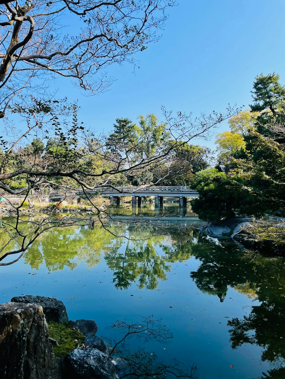 a body of water surrounded by trees and a bridge