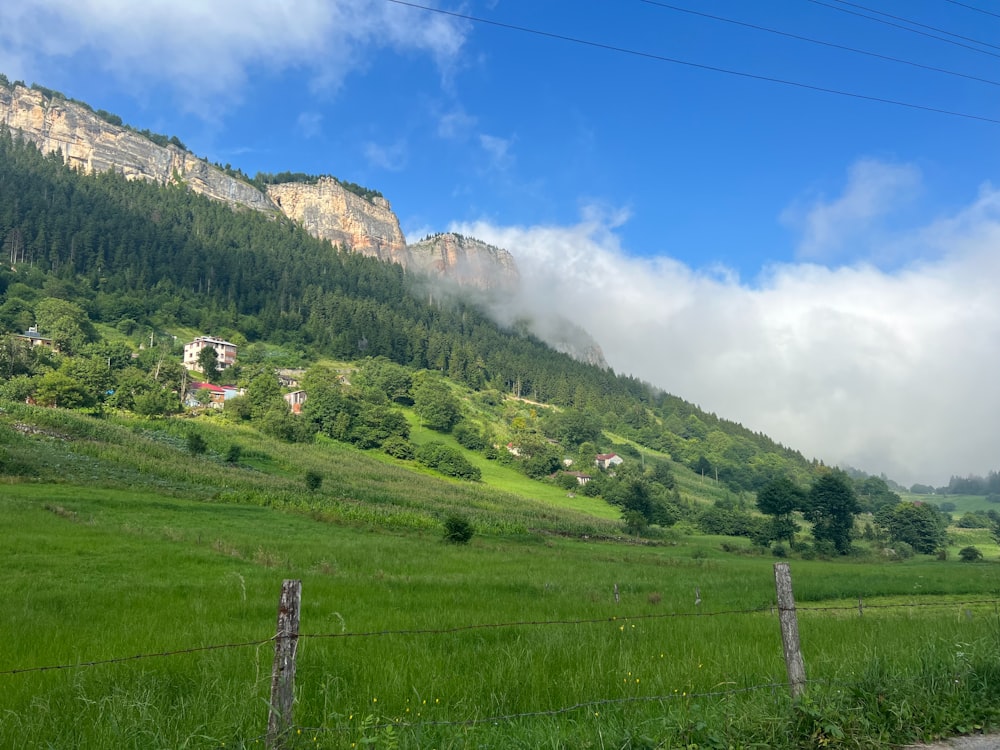 a lush green field with a mountain in the background