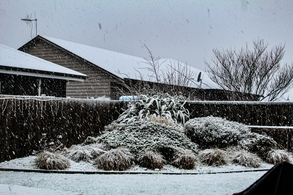 a snow covered yard next to a house