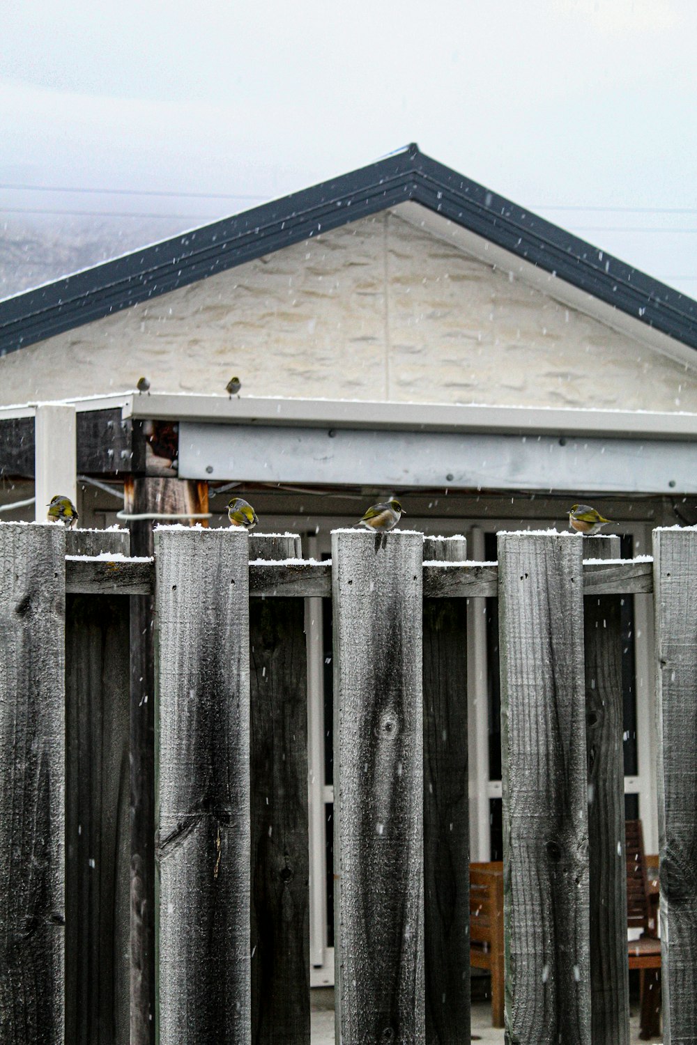 a bird sitting on top of a wooden fence