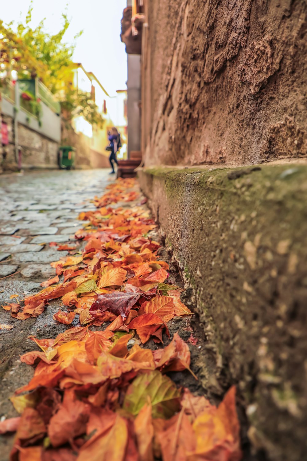 a cobblestone street with leaves on the ground