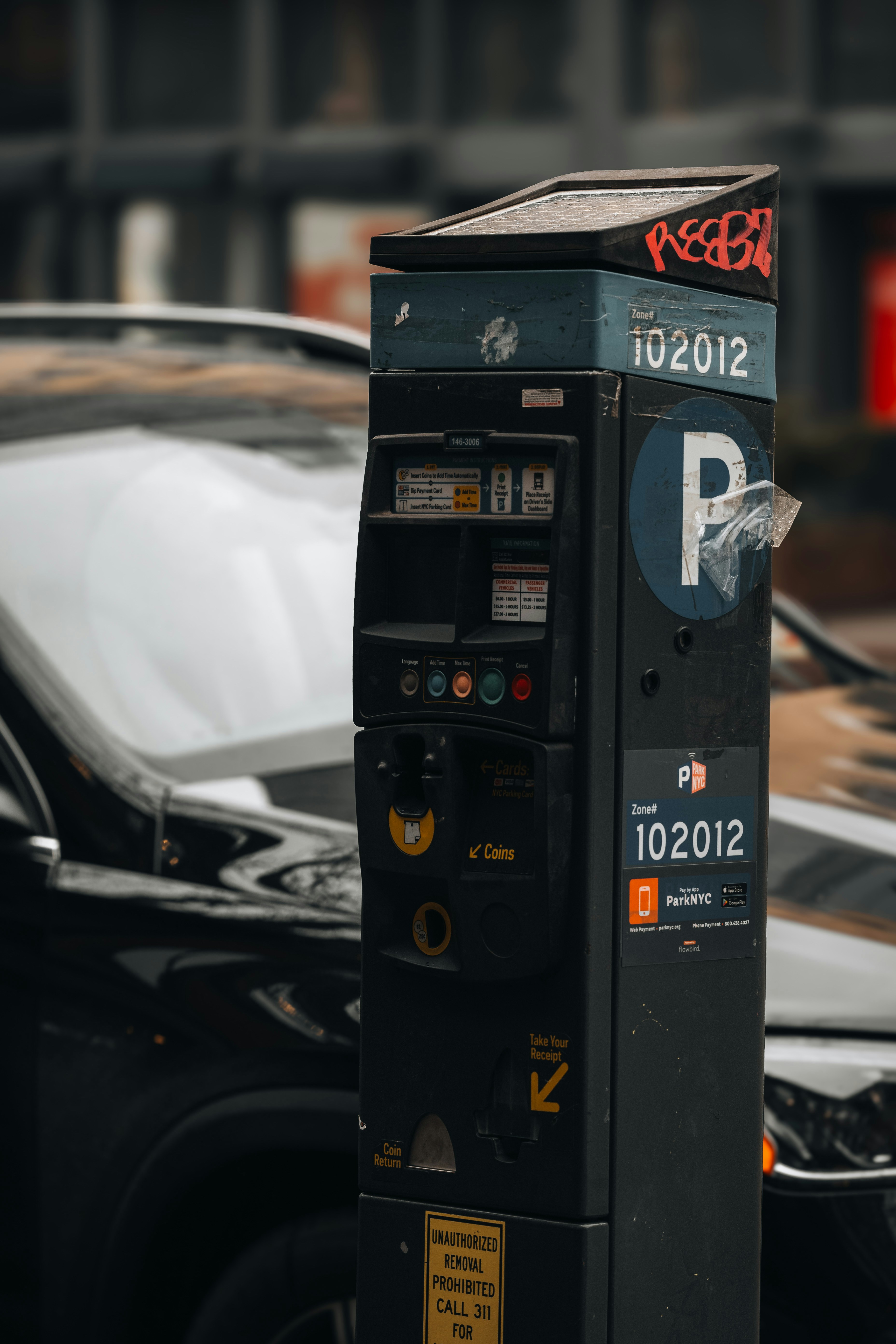 Photo by vargassantos