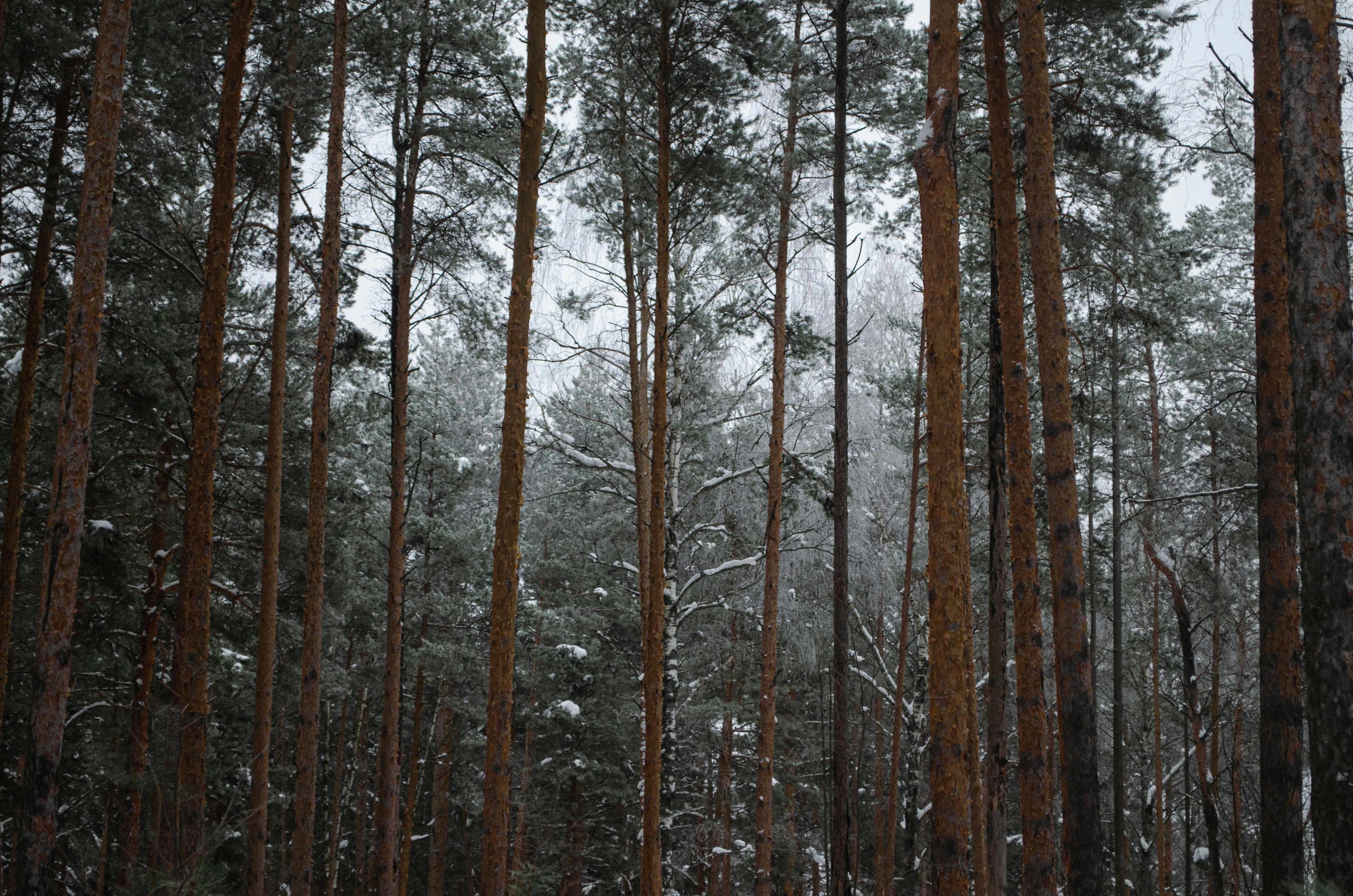 Photo by indi_grunge