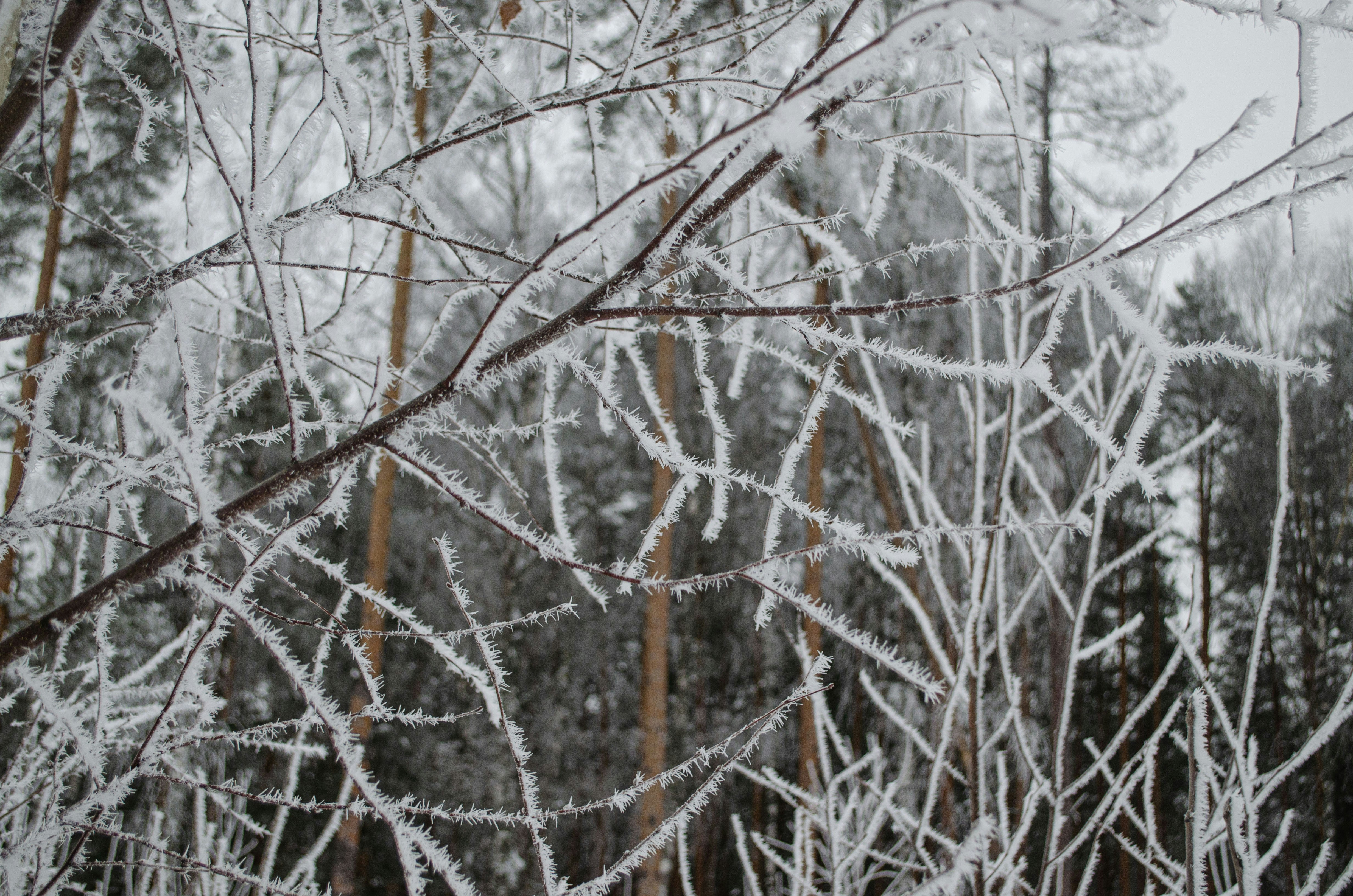 Photo by indi_grunge