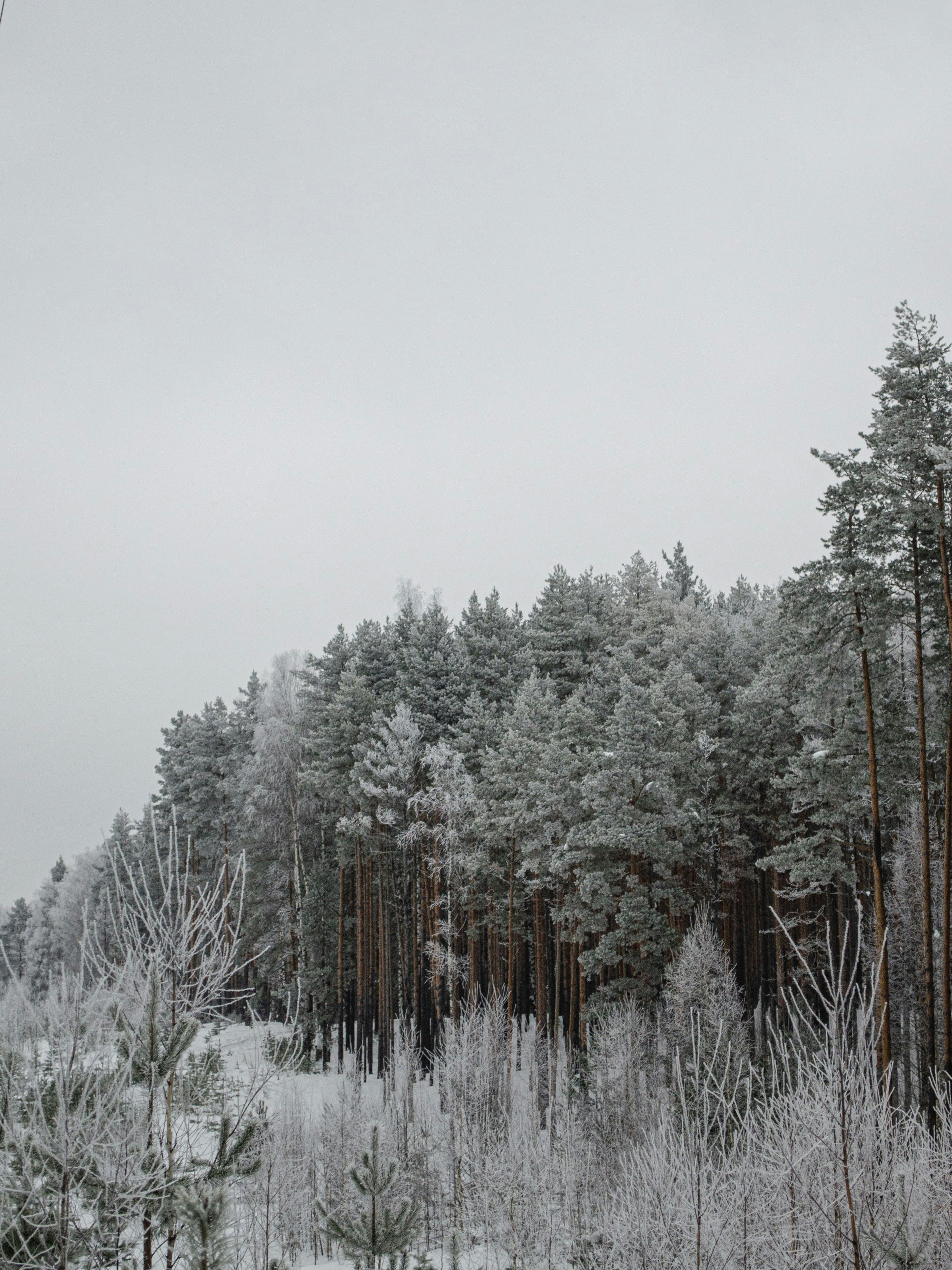 Photo by indi_grunge