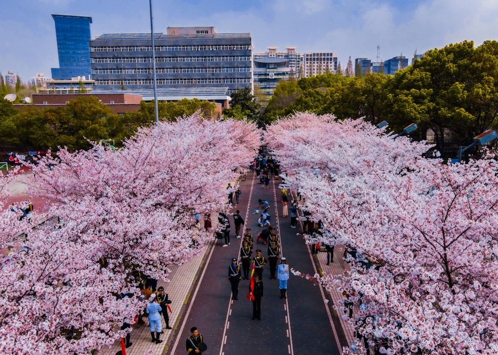 a group of people walking down a street lined with trees