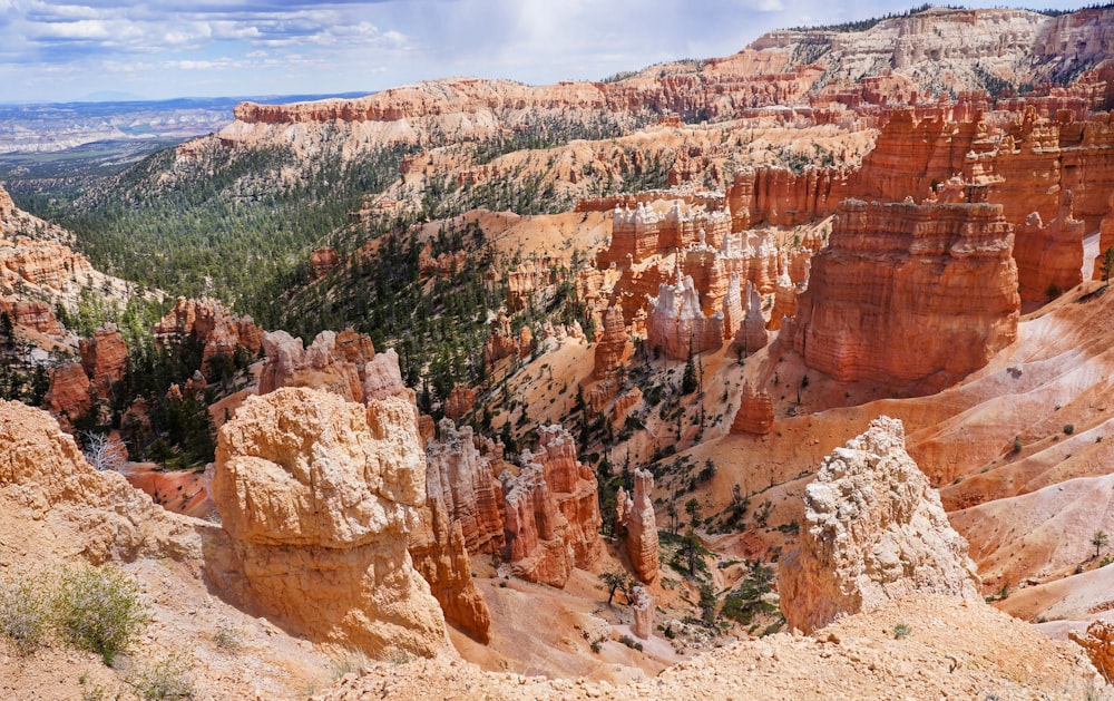 a scenic view of a canyon in the mountains