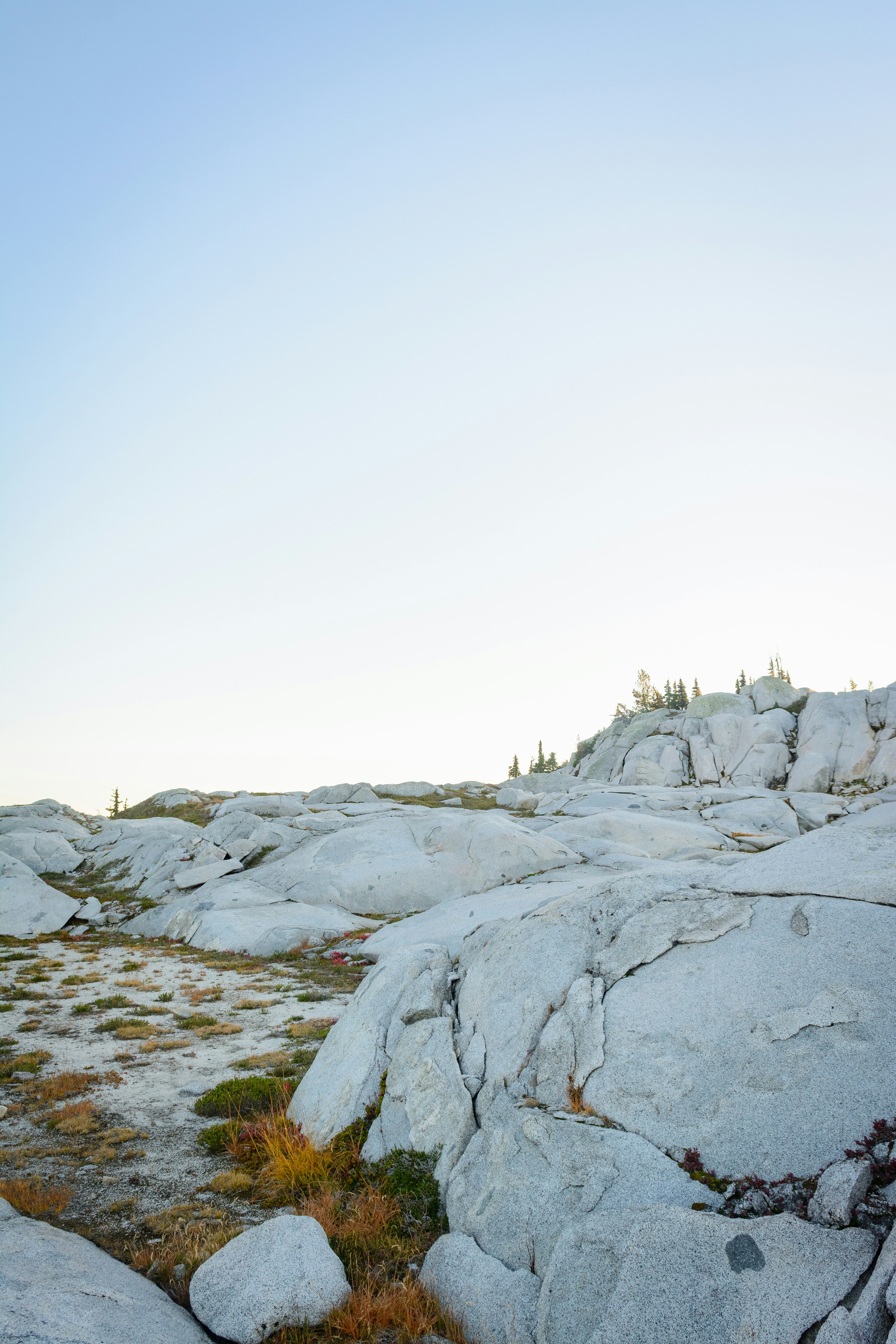 Photo by samkushnerchuk