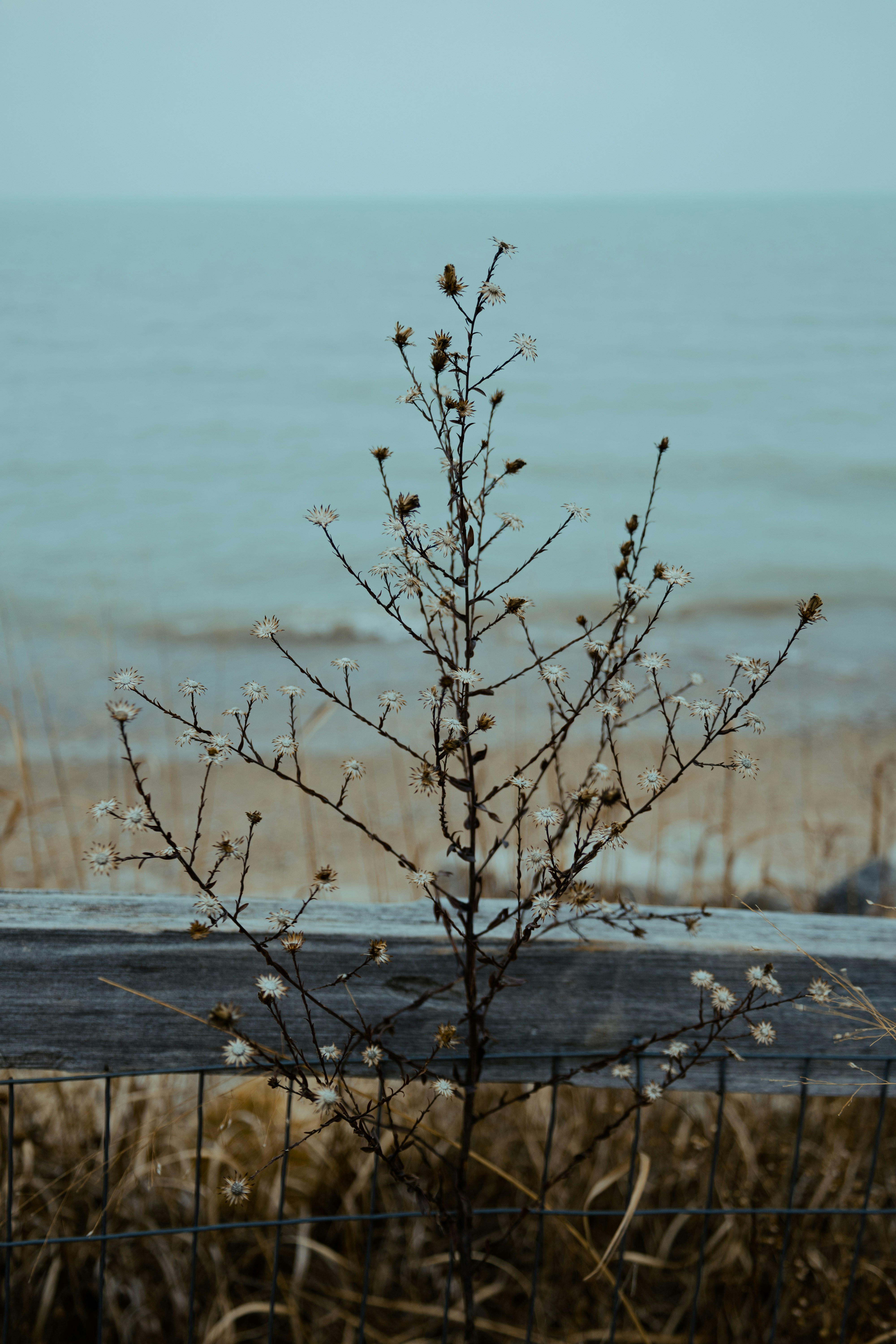 Photo by vincentyuan87