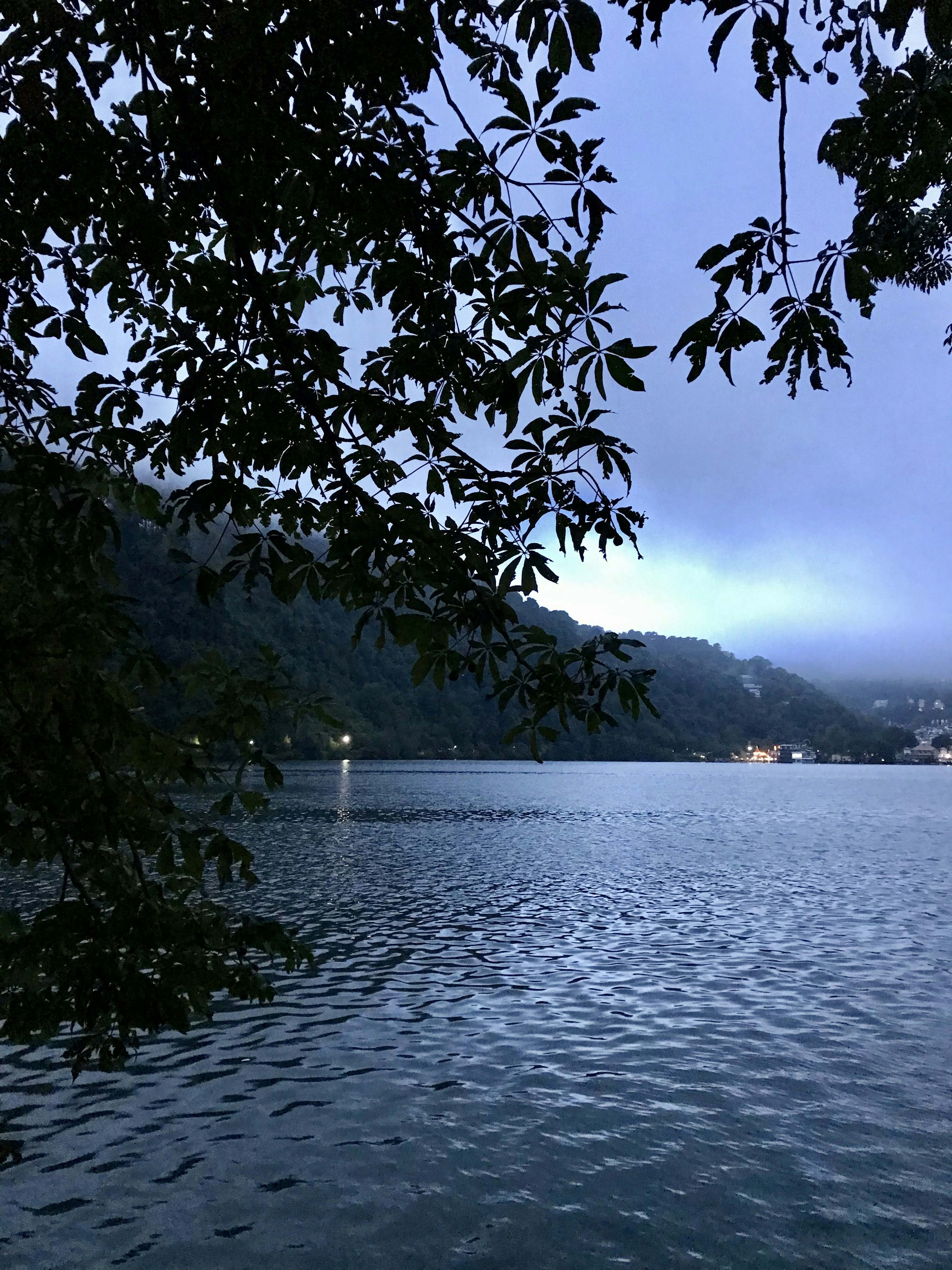 a body of water surrounded by a forest