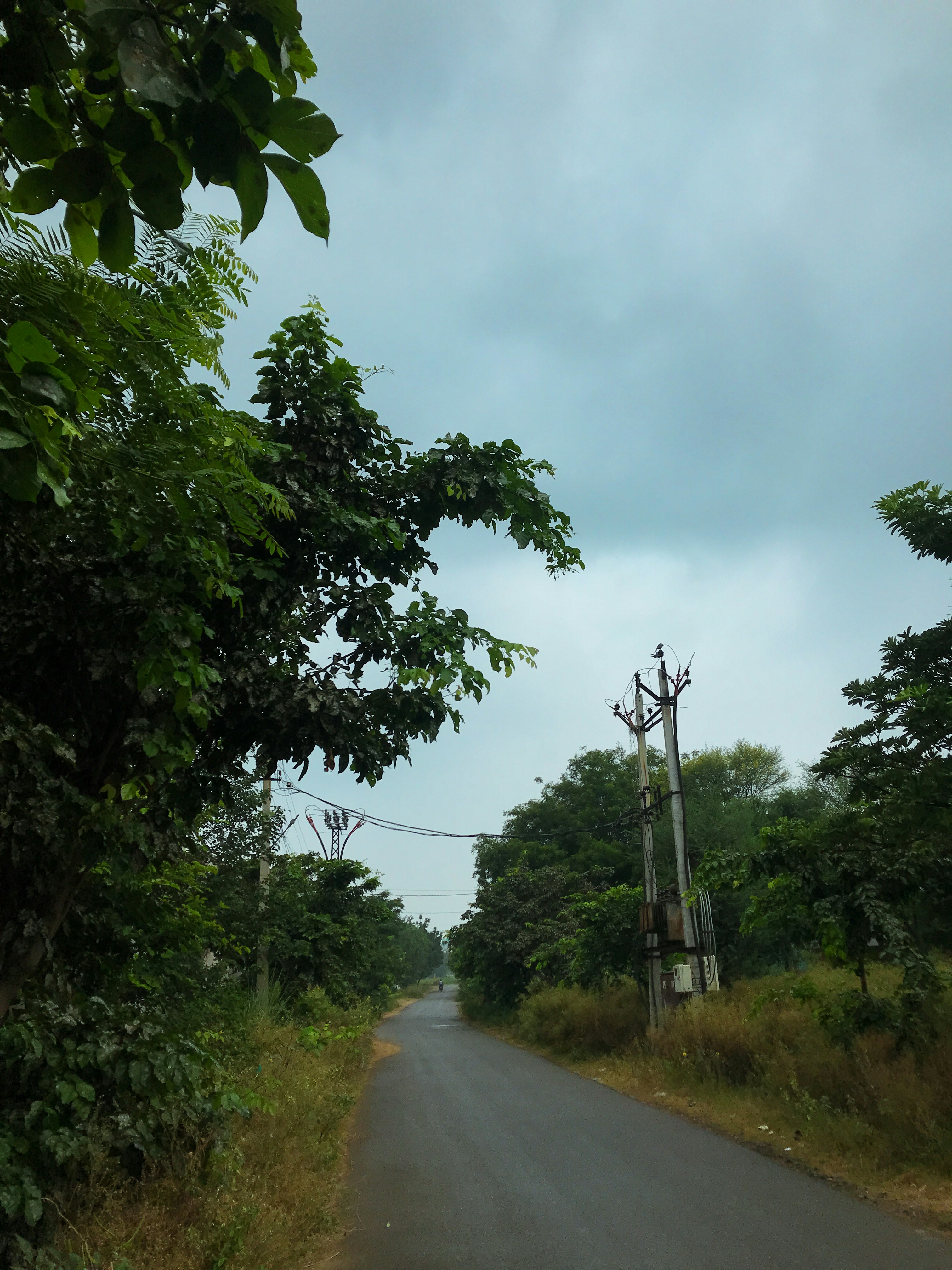 an empty road with a telephone pole on the side of it
