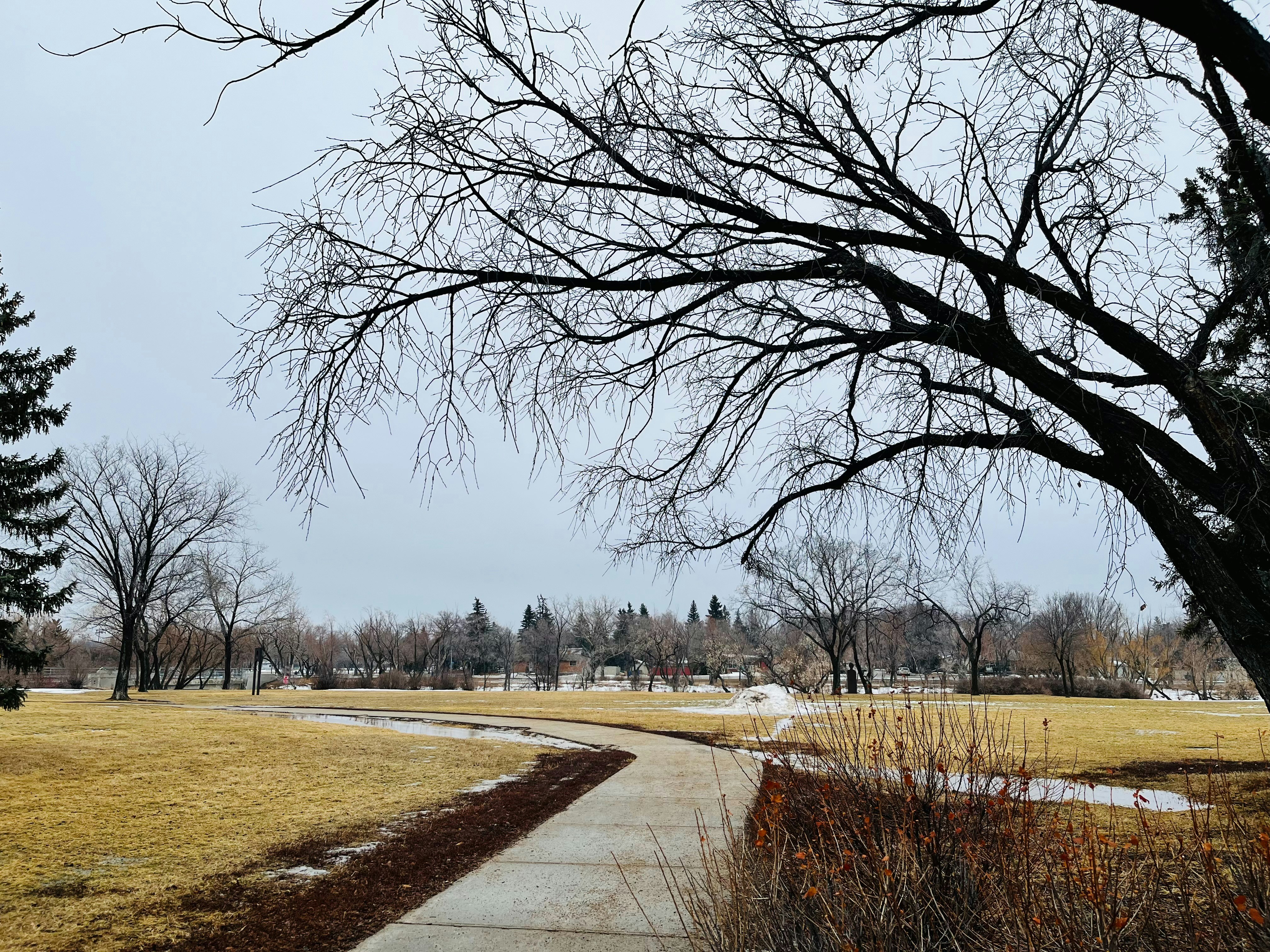 Corridor Park