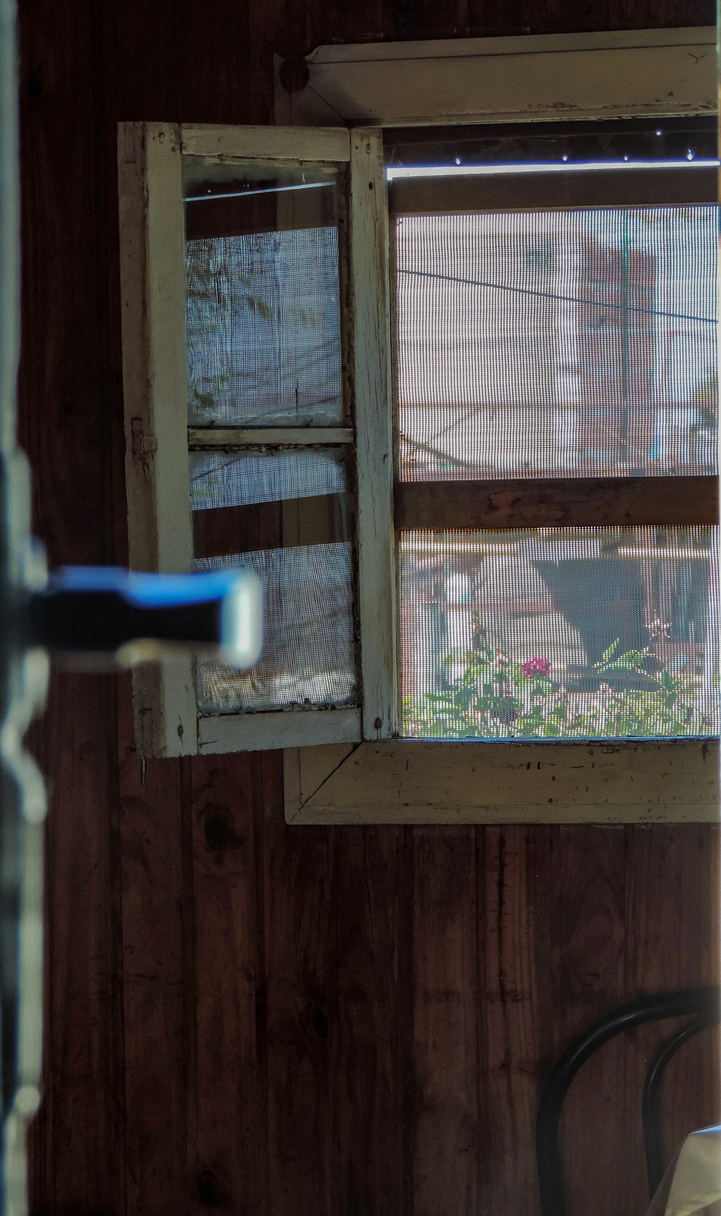 Photo by ibanez_marco