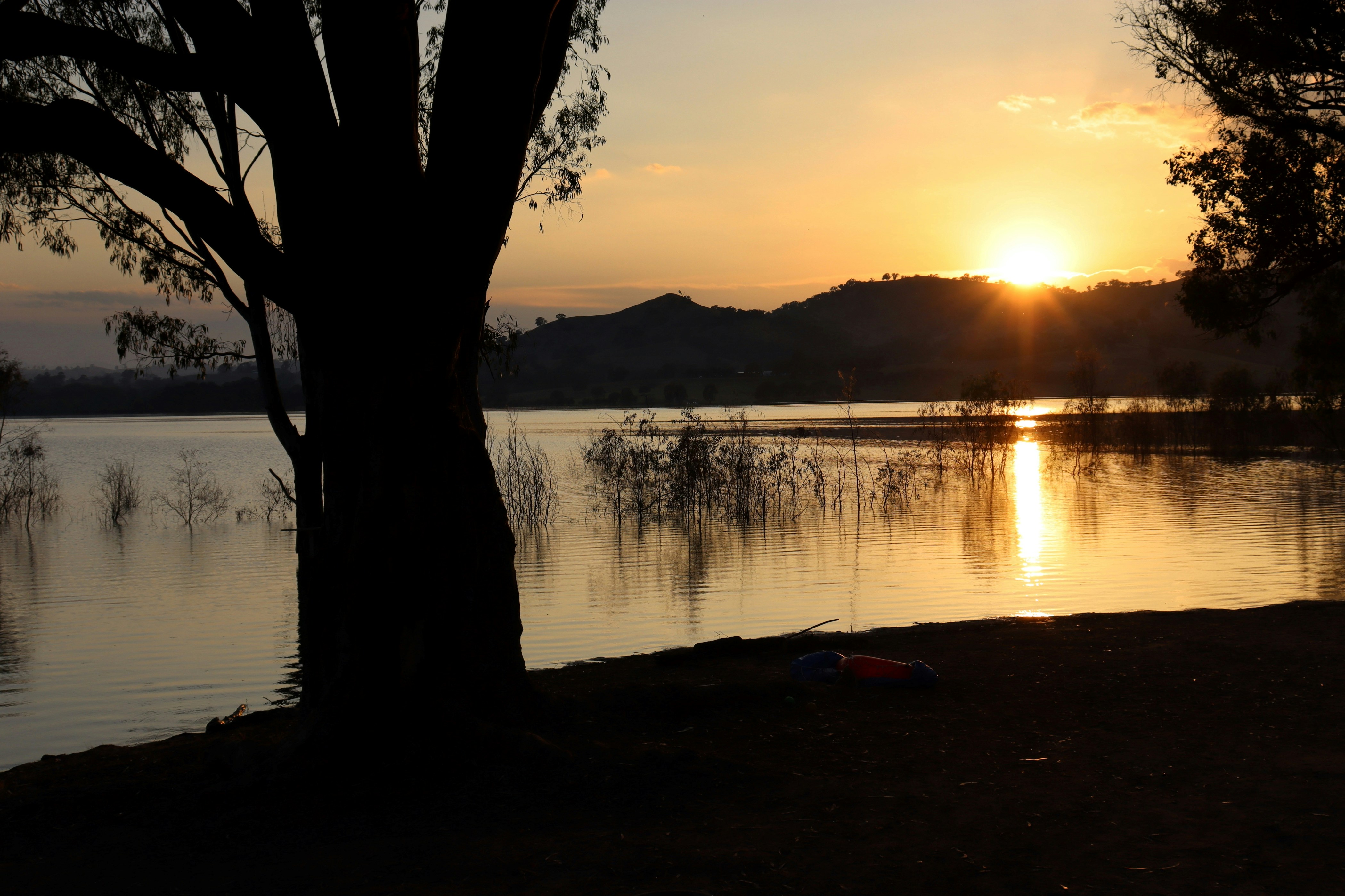 Photo by craigmanners_com