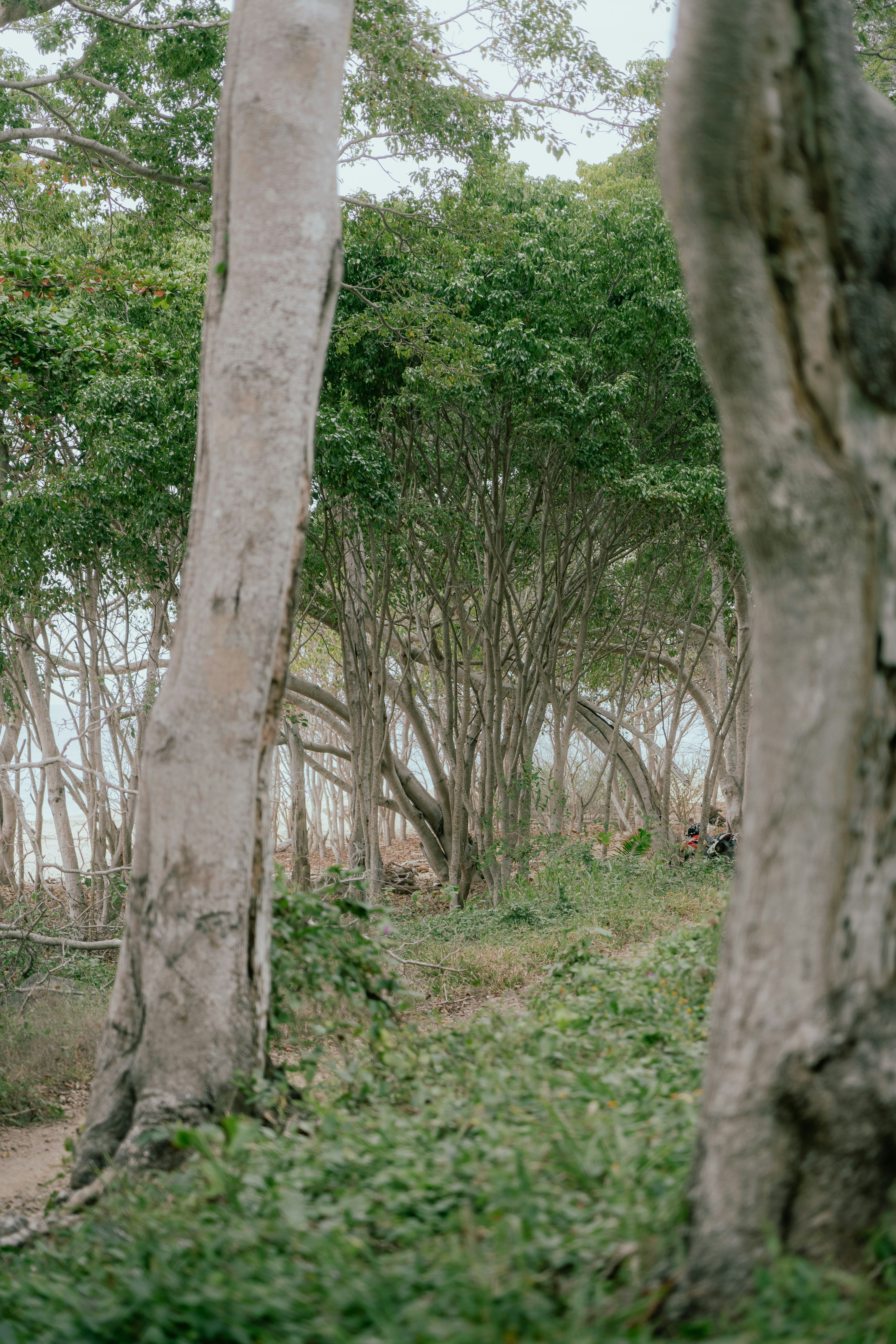 Photo by dzngriffin