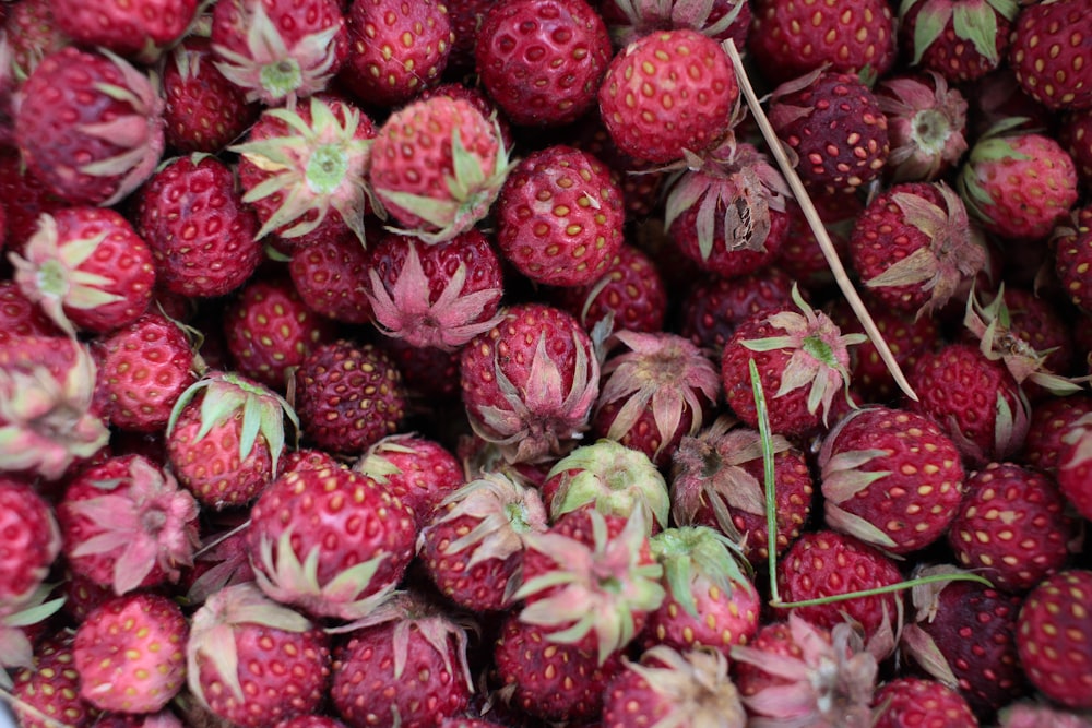 a close up of a bunch of strawberries