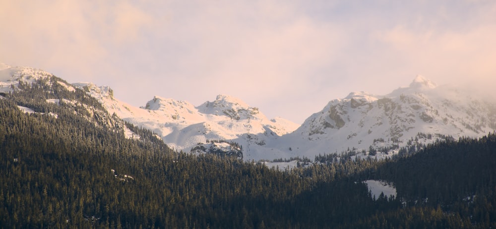 a snow covered mountain range with trees in the foreground