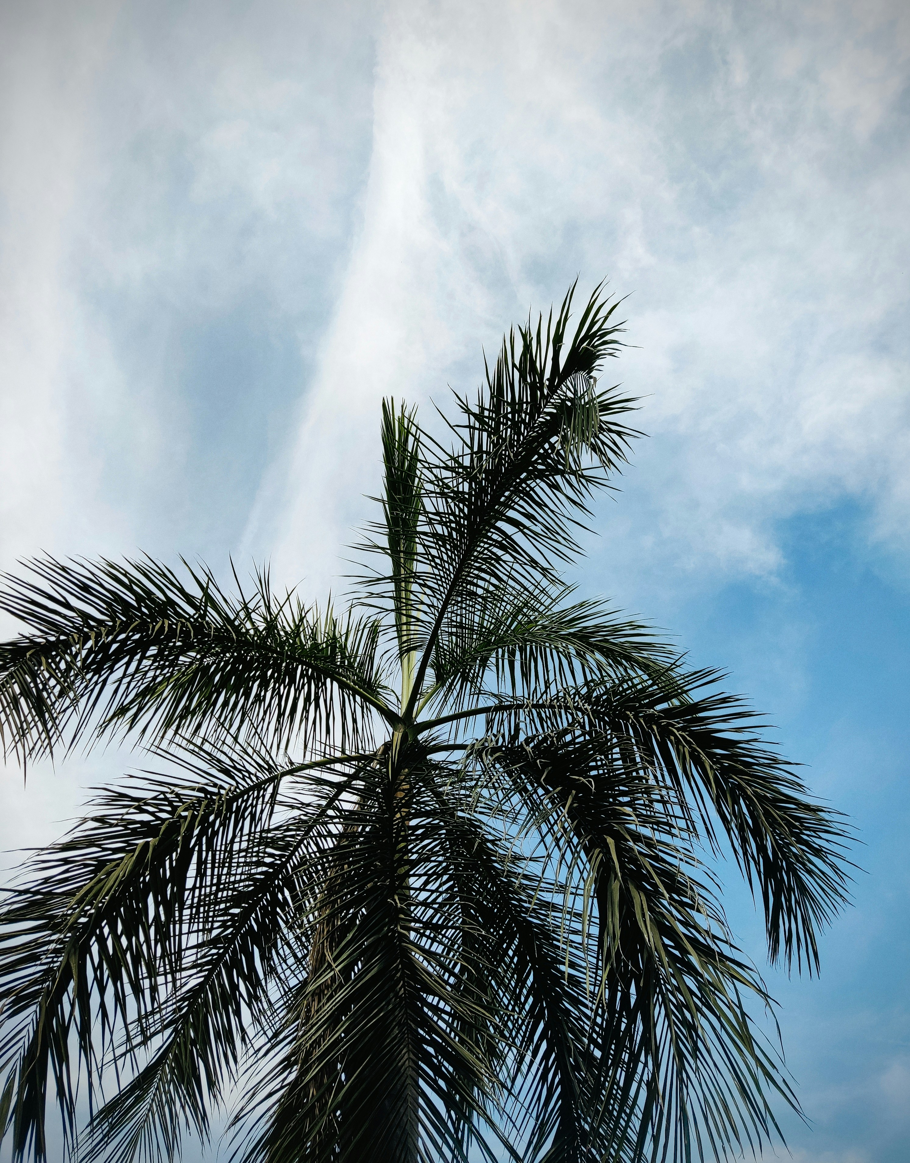 Photo by rakhi_bario