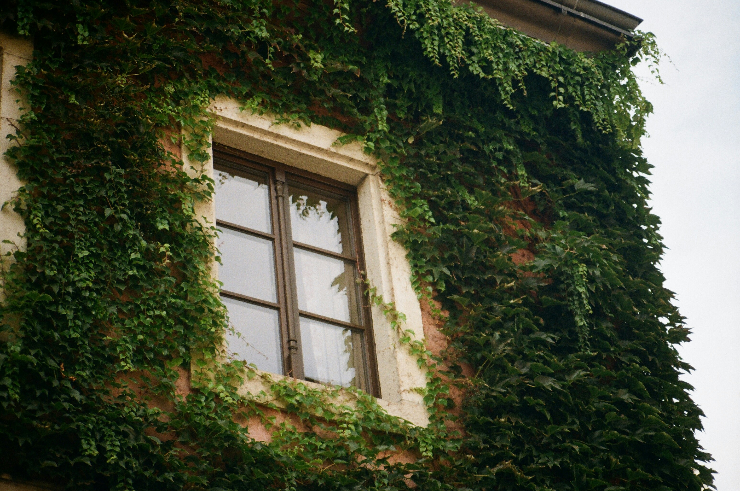 Photo by thesilvafocus