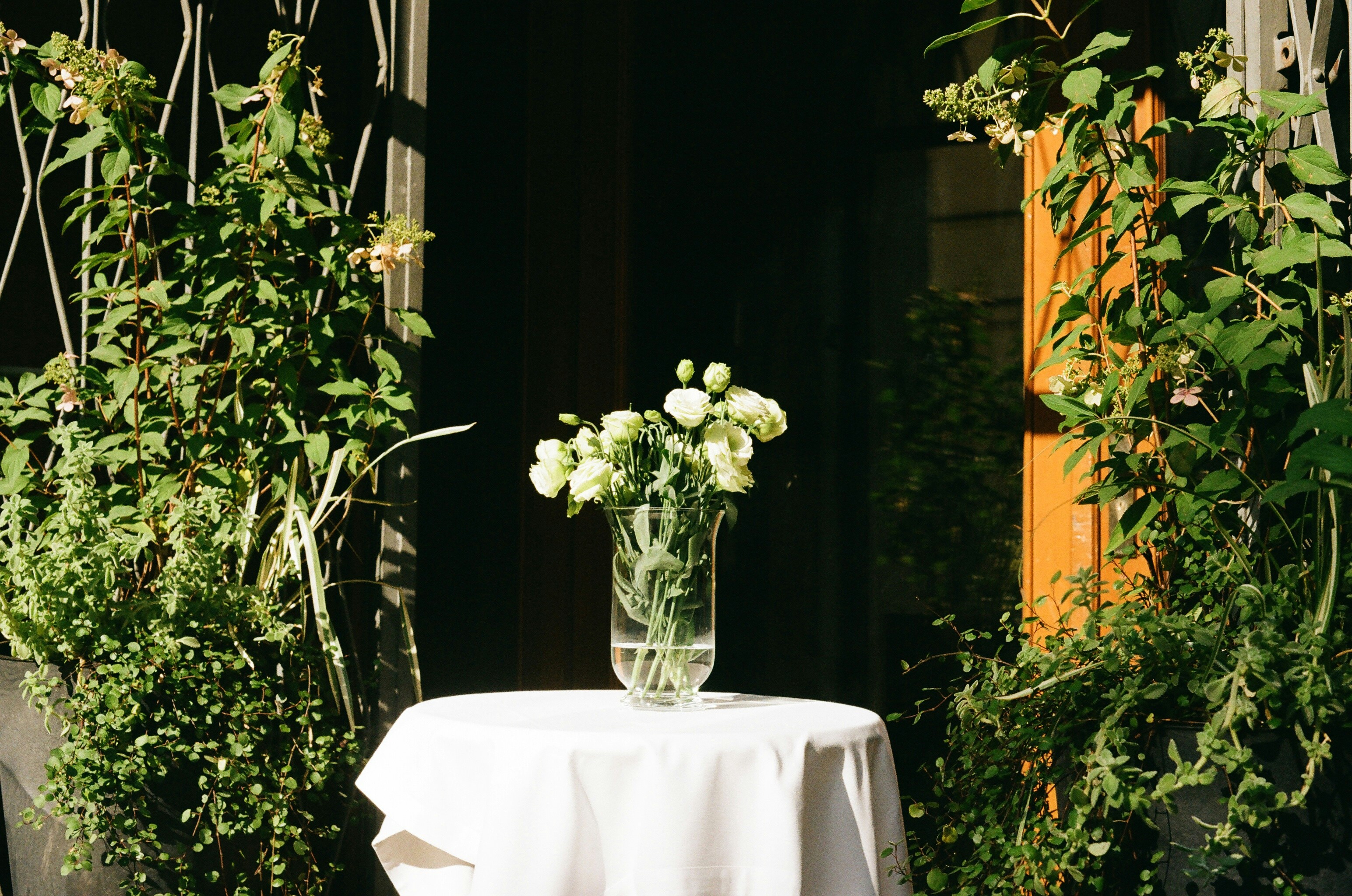 Photo by thesilvafocus