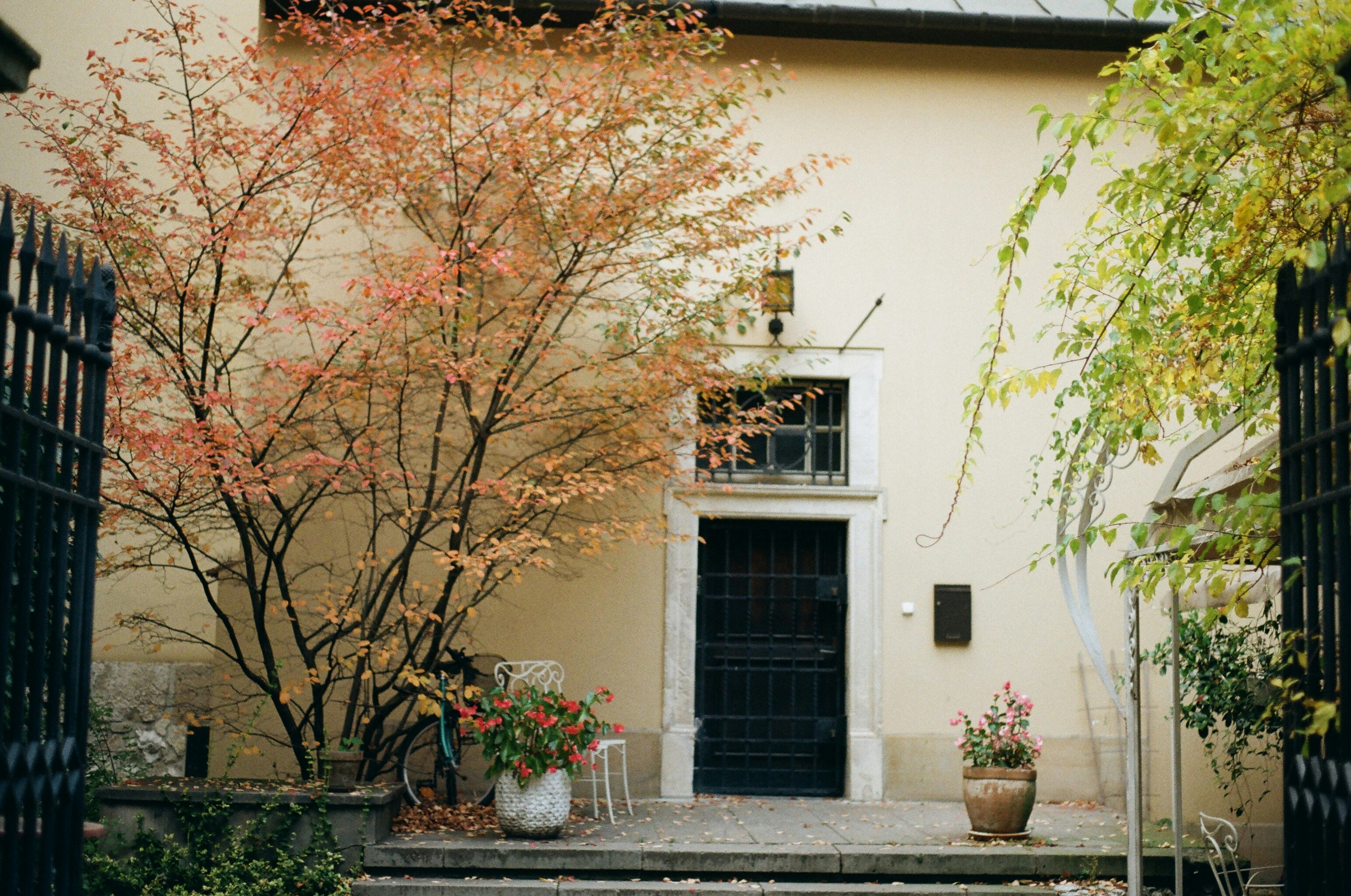 Photo by thesilvafocus