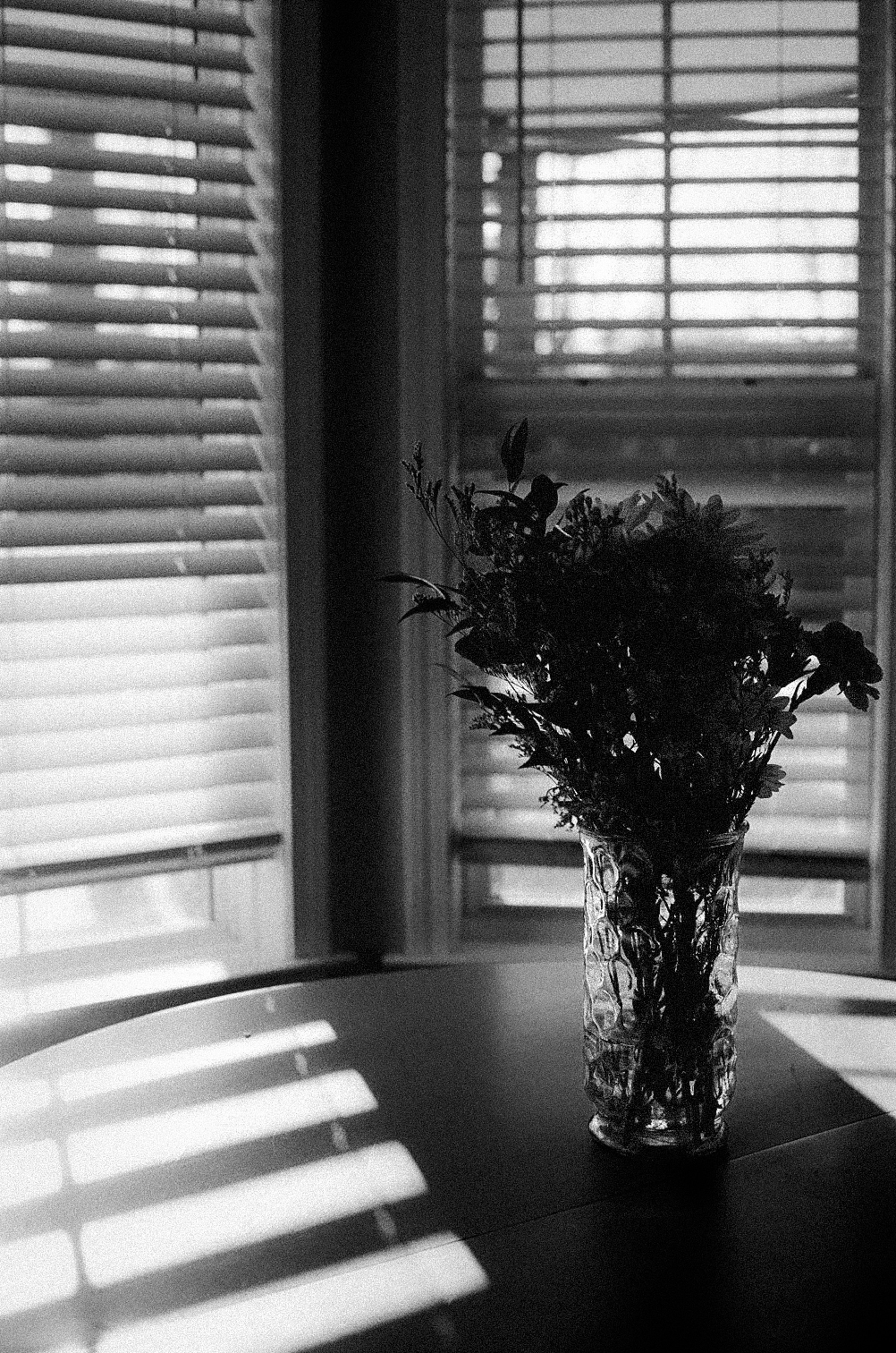 Photo by tylerturner27