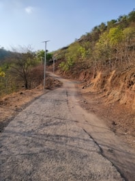 a dirt road with a hill in the background