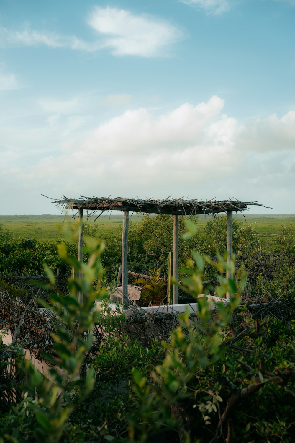 a gazebo in the middle of a green field