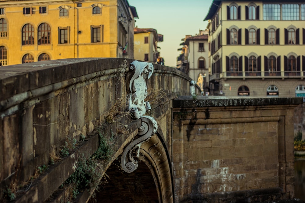 a bridge with vines growing on it and buildings in the background