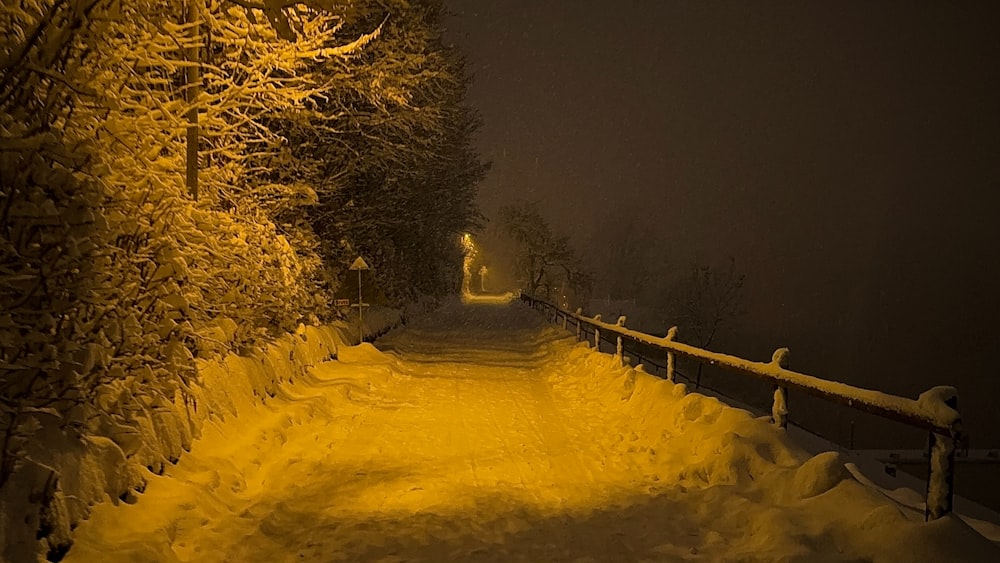eine schneebedeckte Straße mit einem Zaun und Bäumen