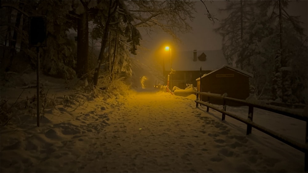 a snow covered path leading to a street light