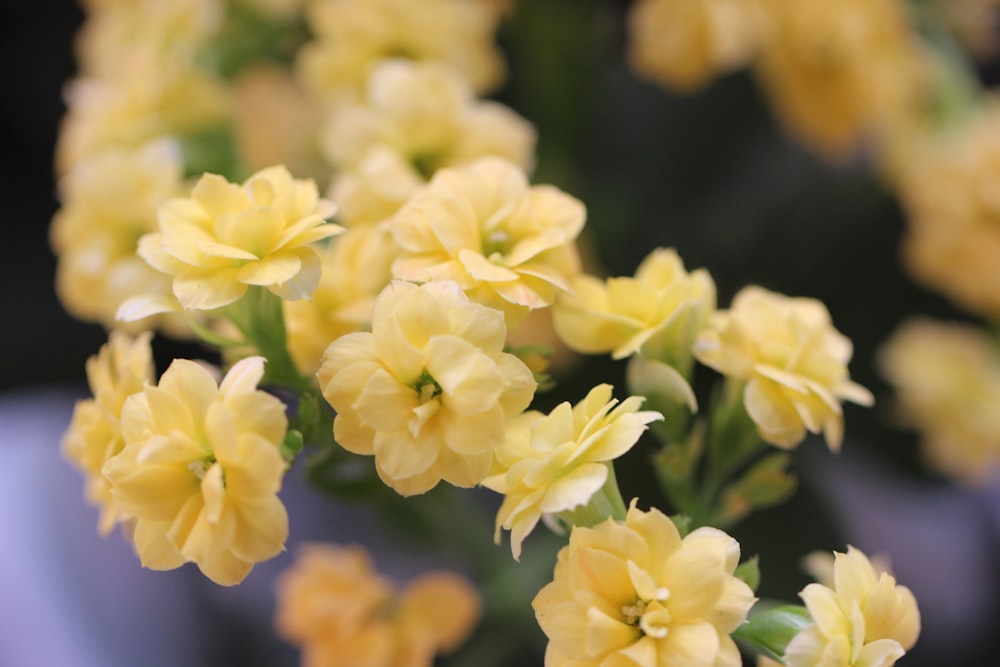 a bunch of yellow flowers in a vase