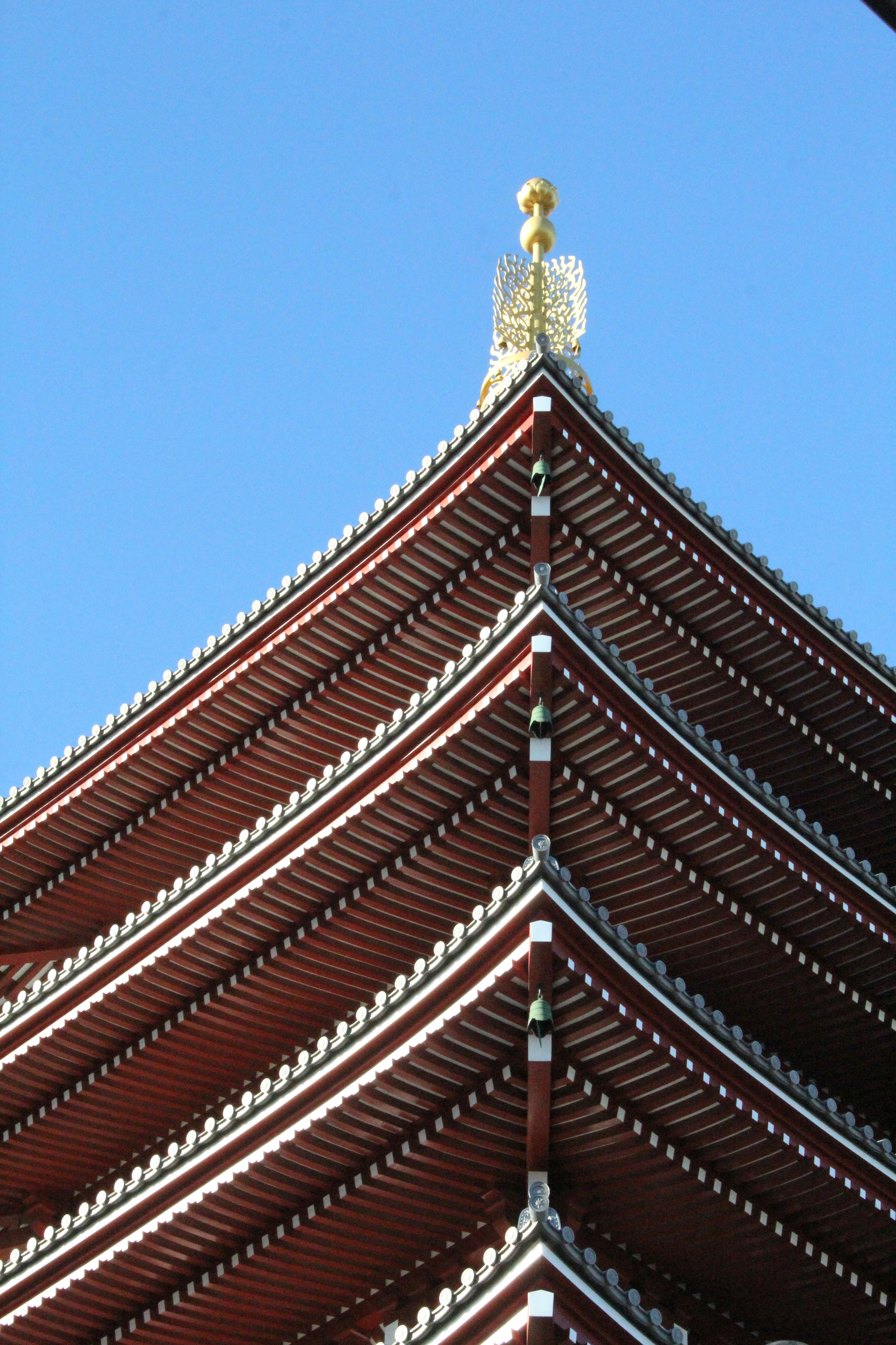 Photo by ahmedtakesphotos