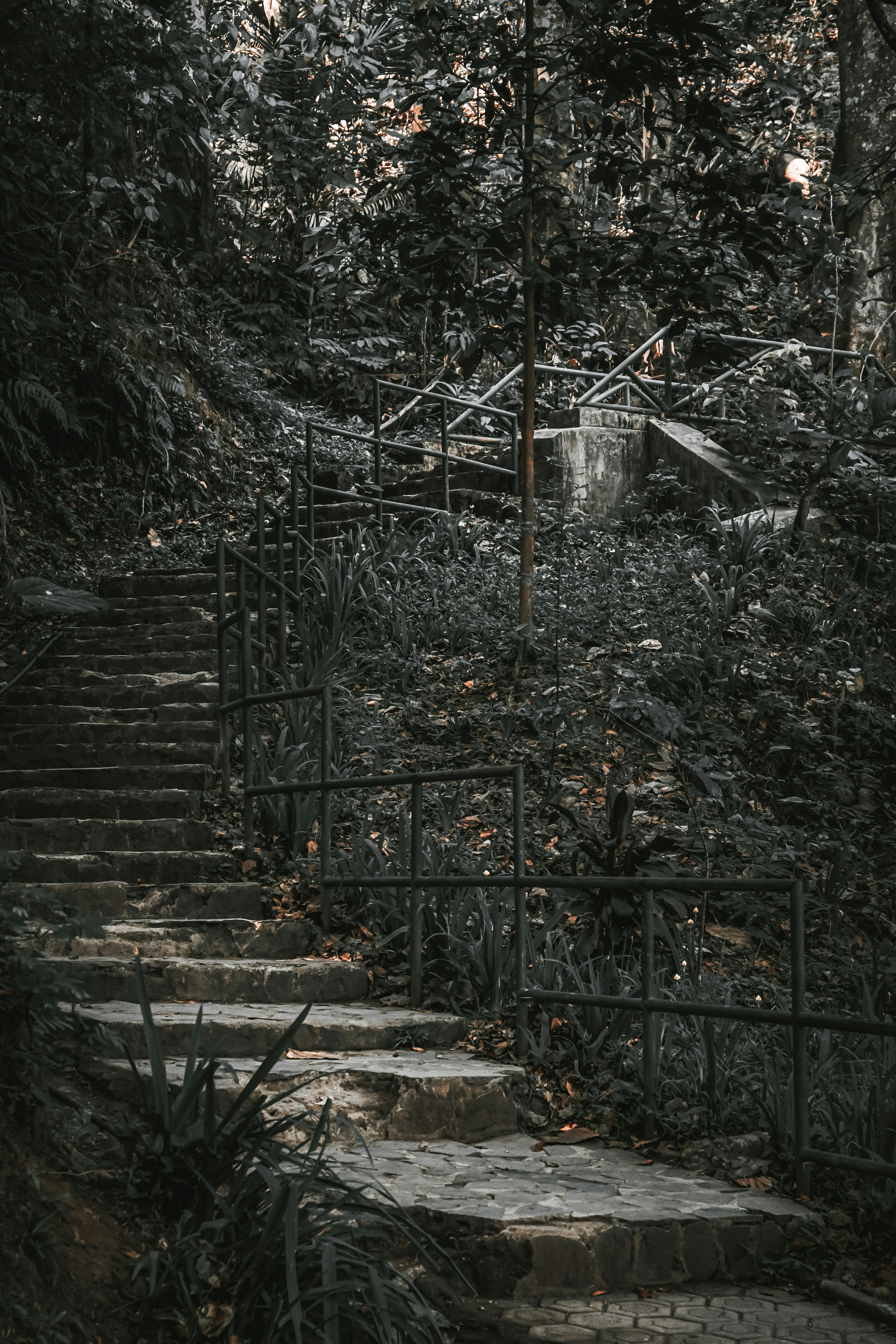 Photo by aseprendi12