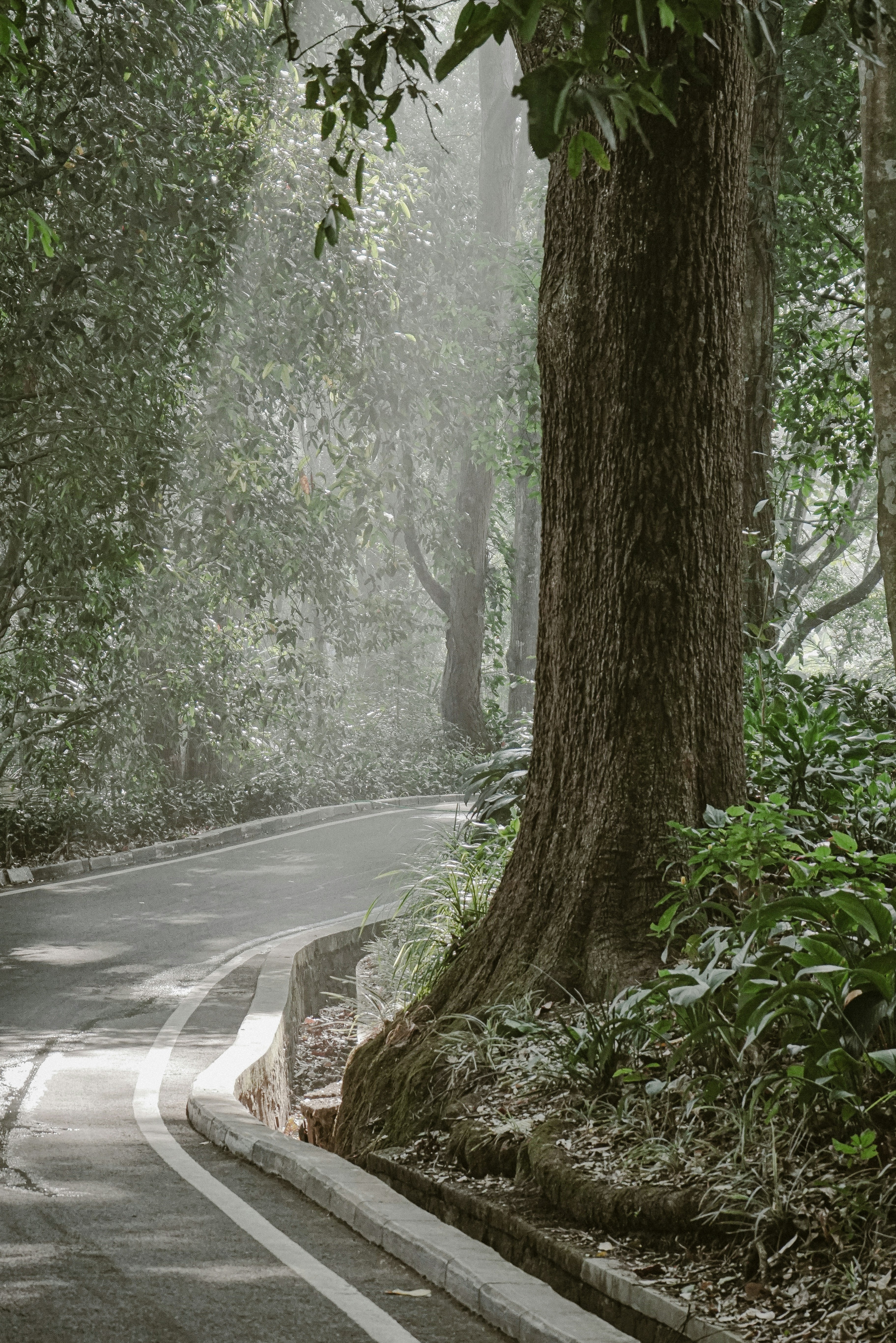 Photo by aseprendi12