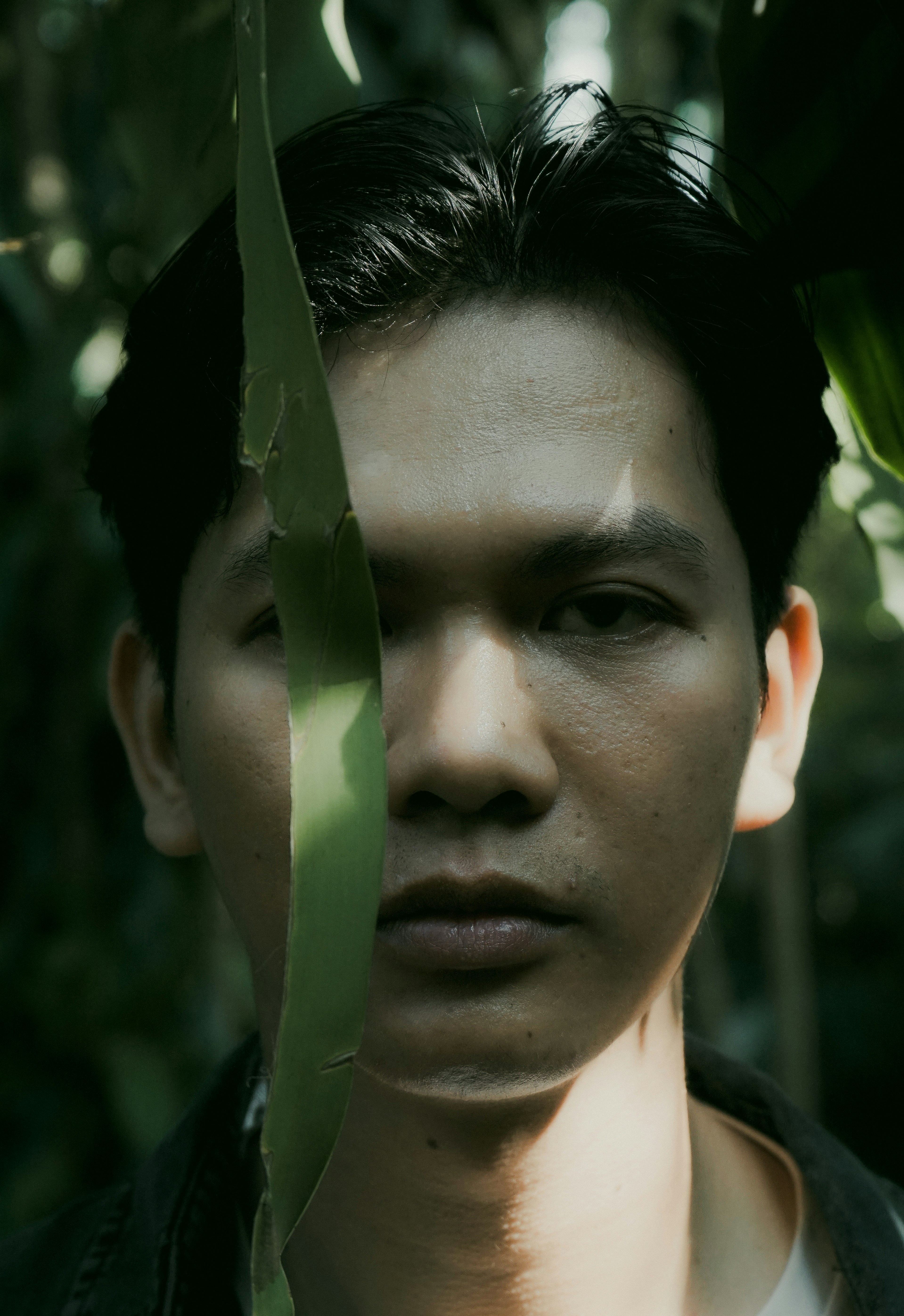 Photo by aseprendi12