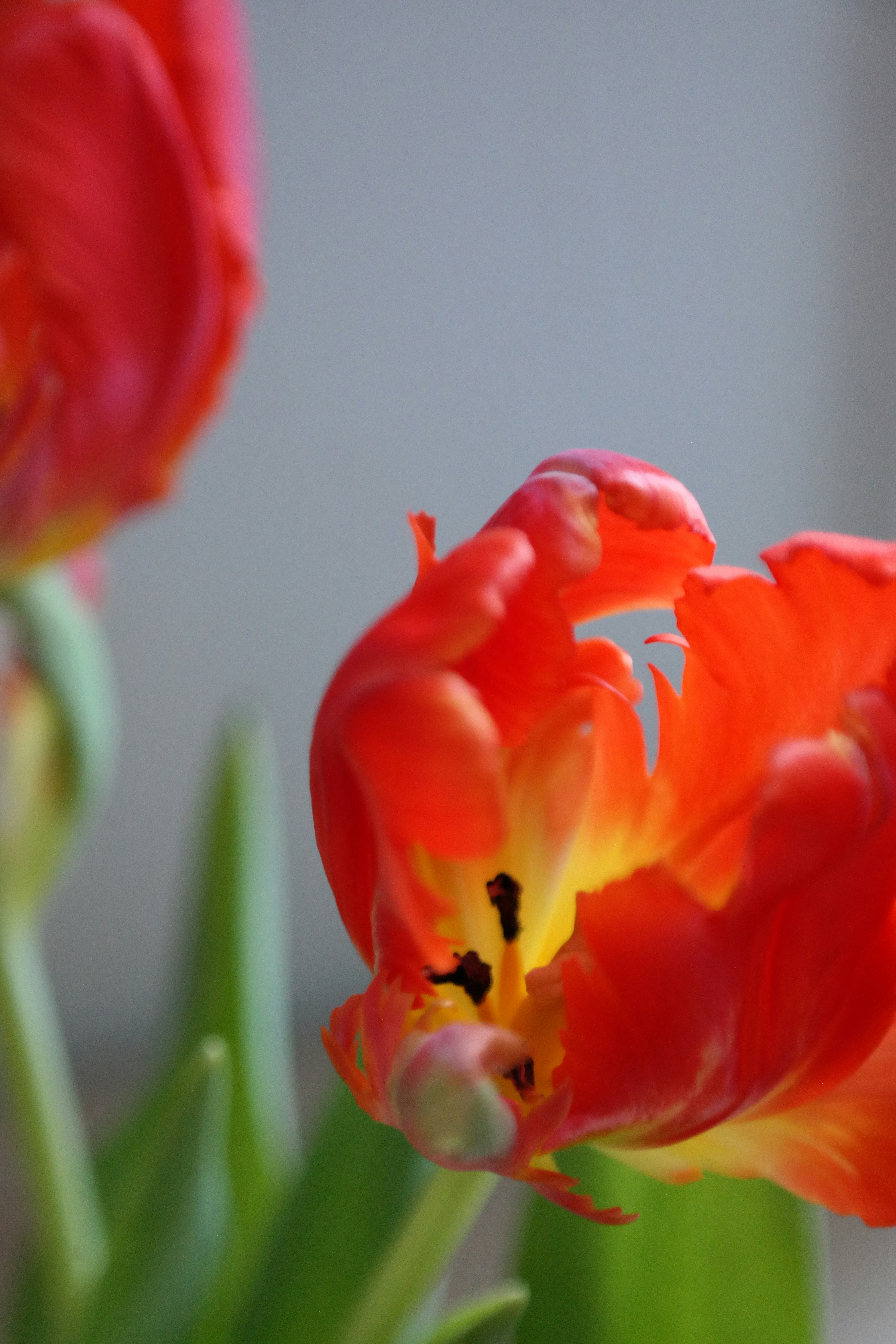 Photo by maisonmaillet