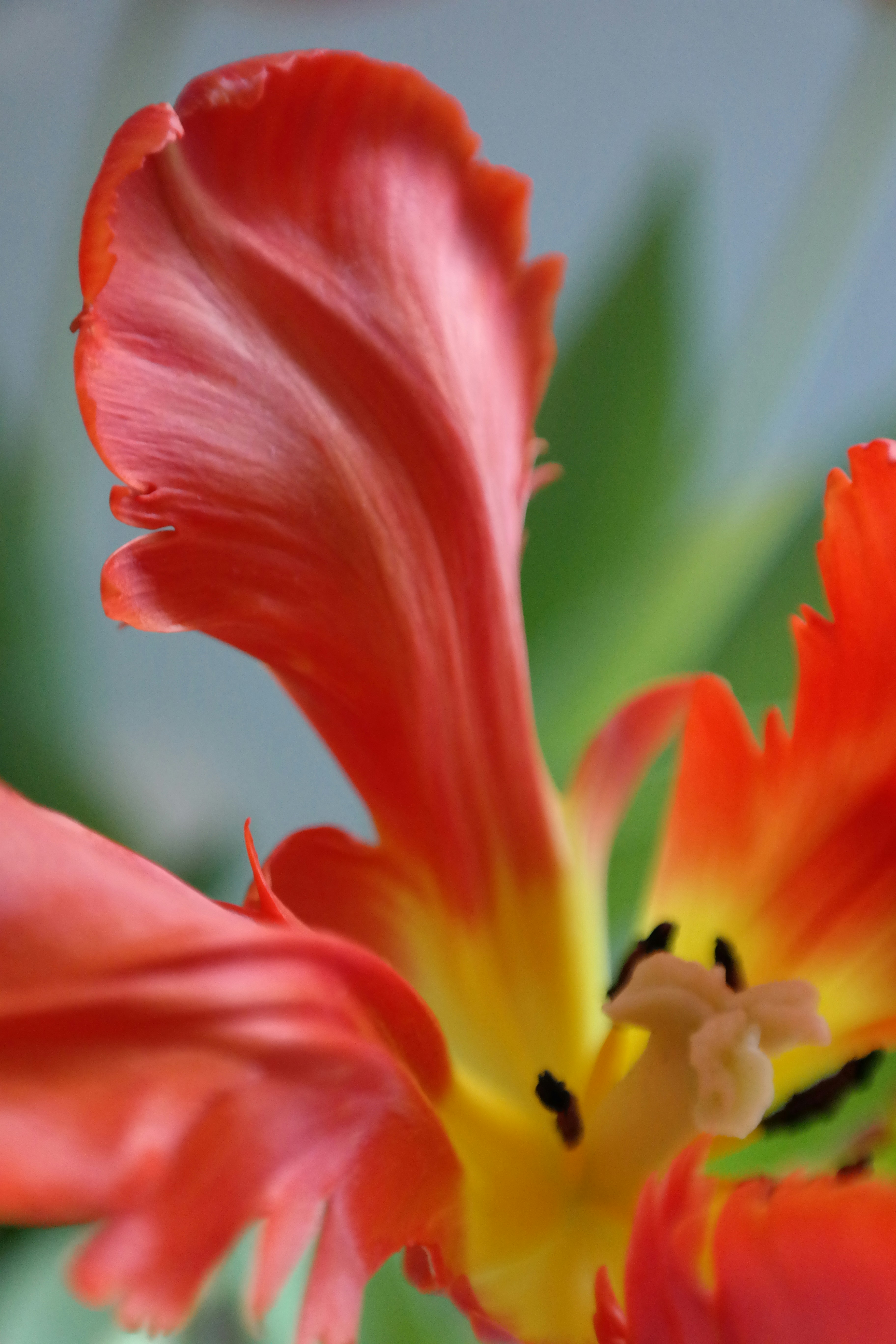 Photo by maisonmaillet