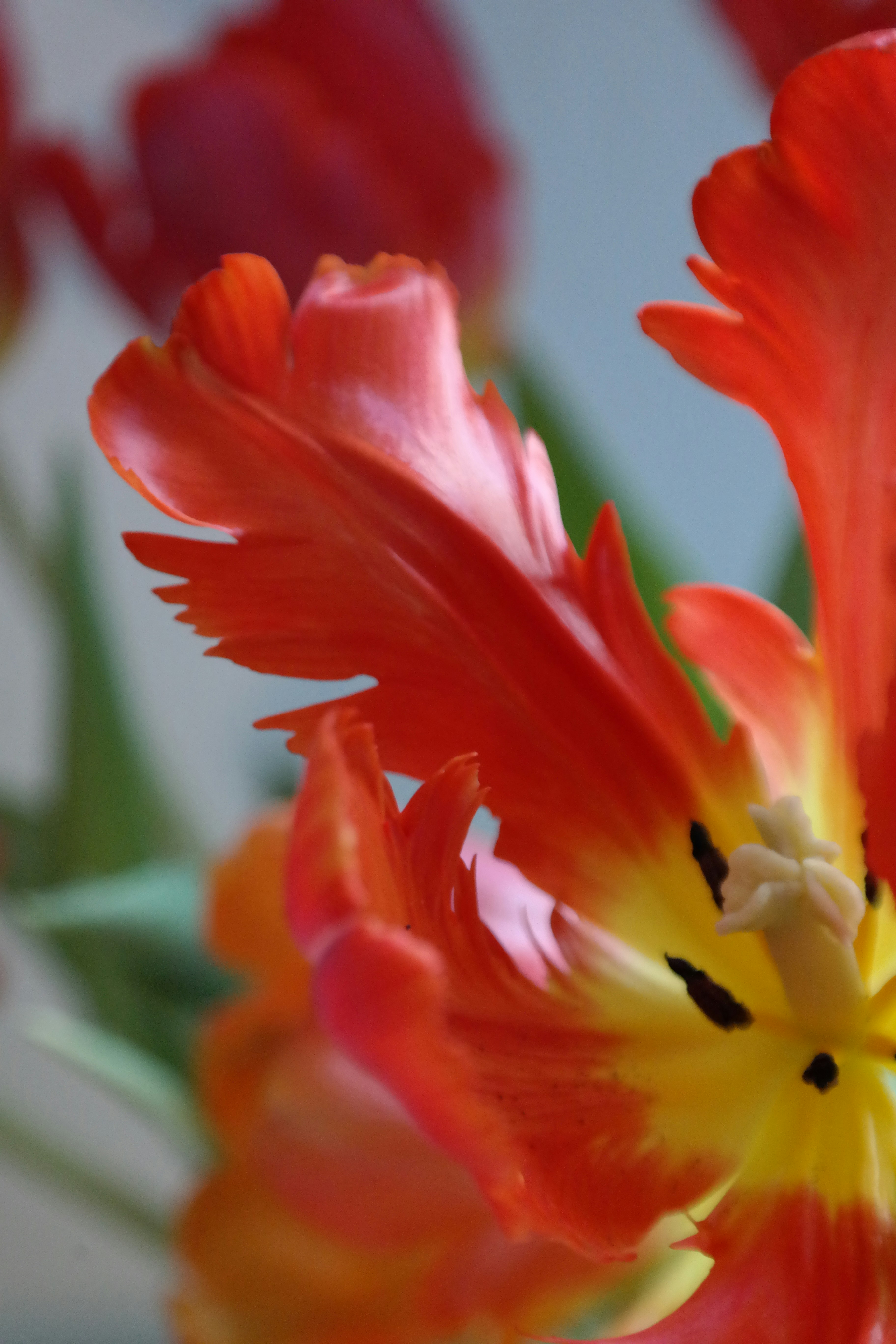 Photo by maisonmaillet