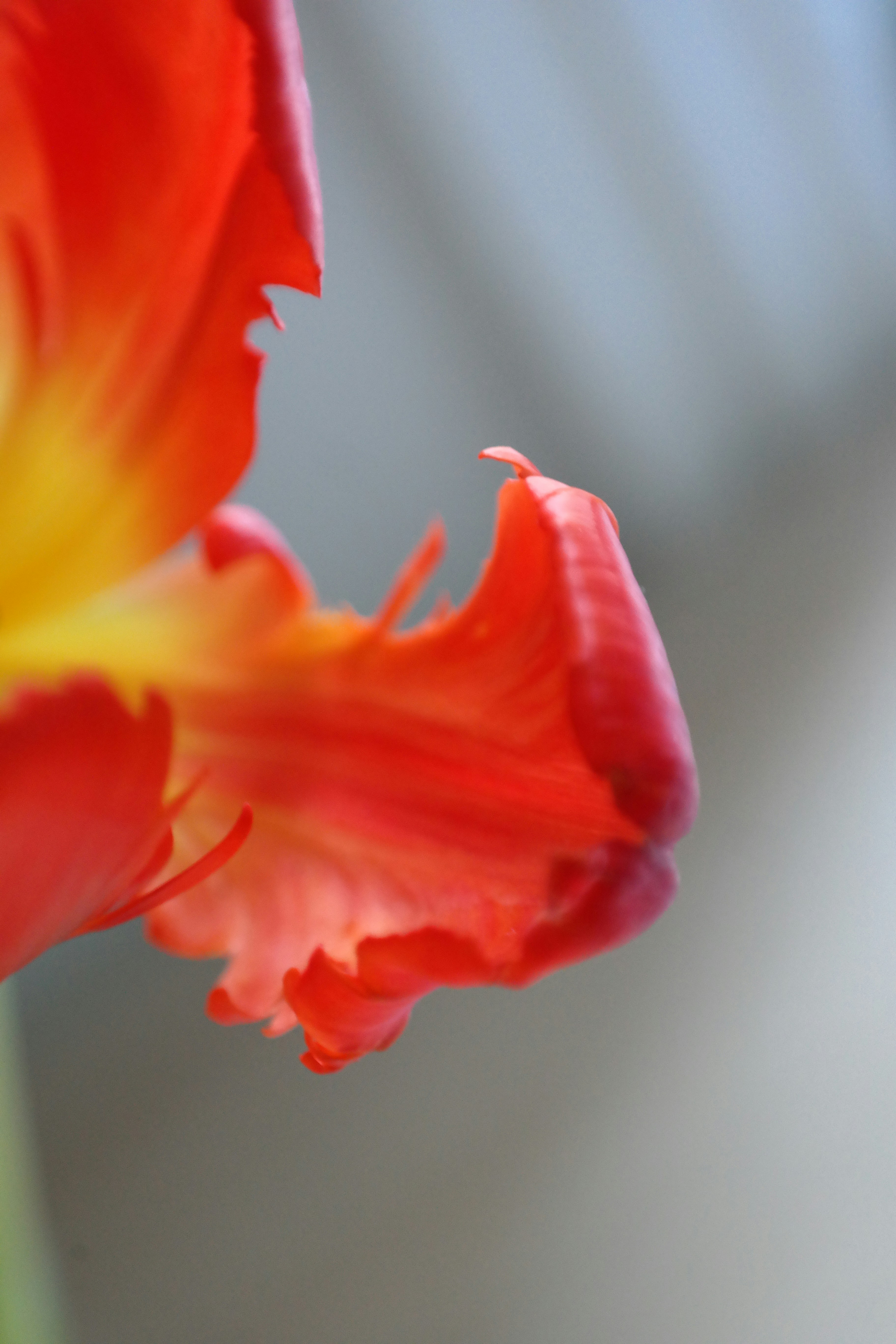 Photo by maisonmaillet