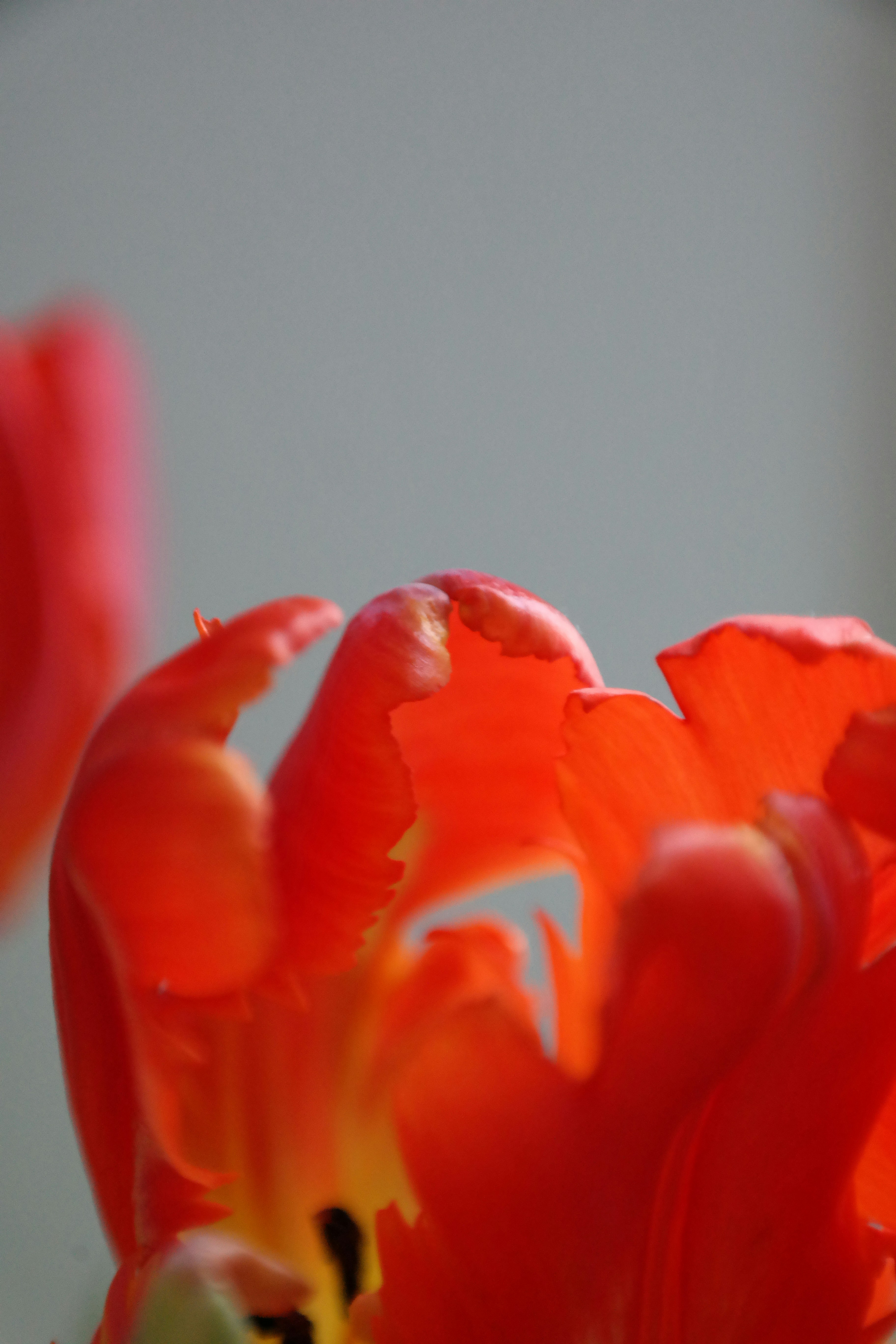 Photo by maisonmaillet