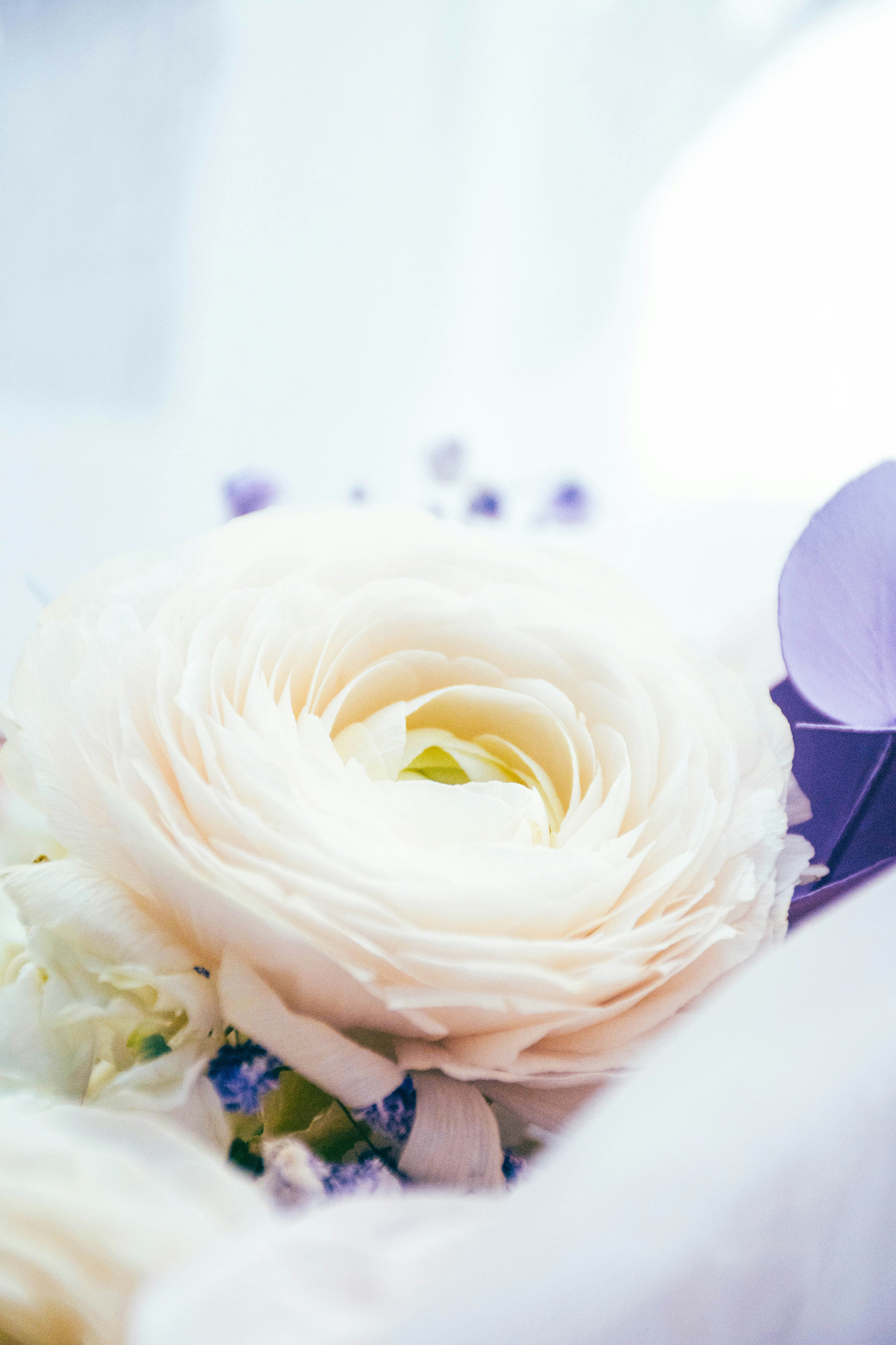 Photo by olga_trishi