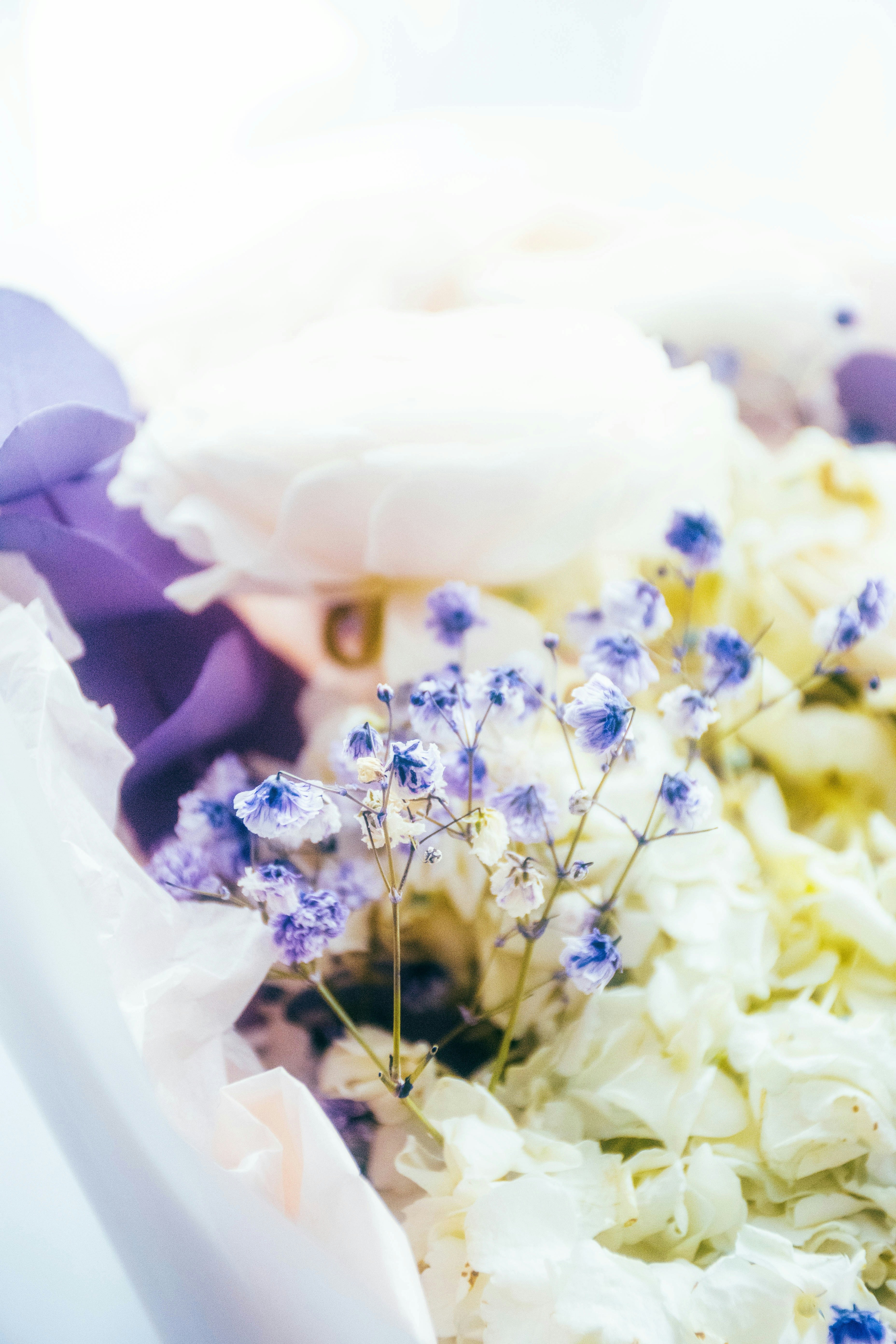 Photo by olga_trishi