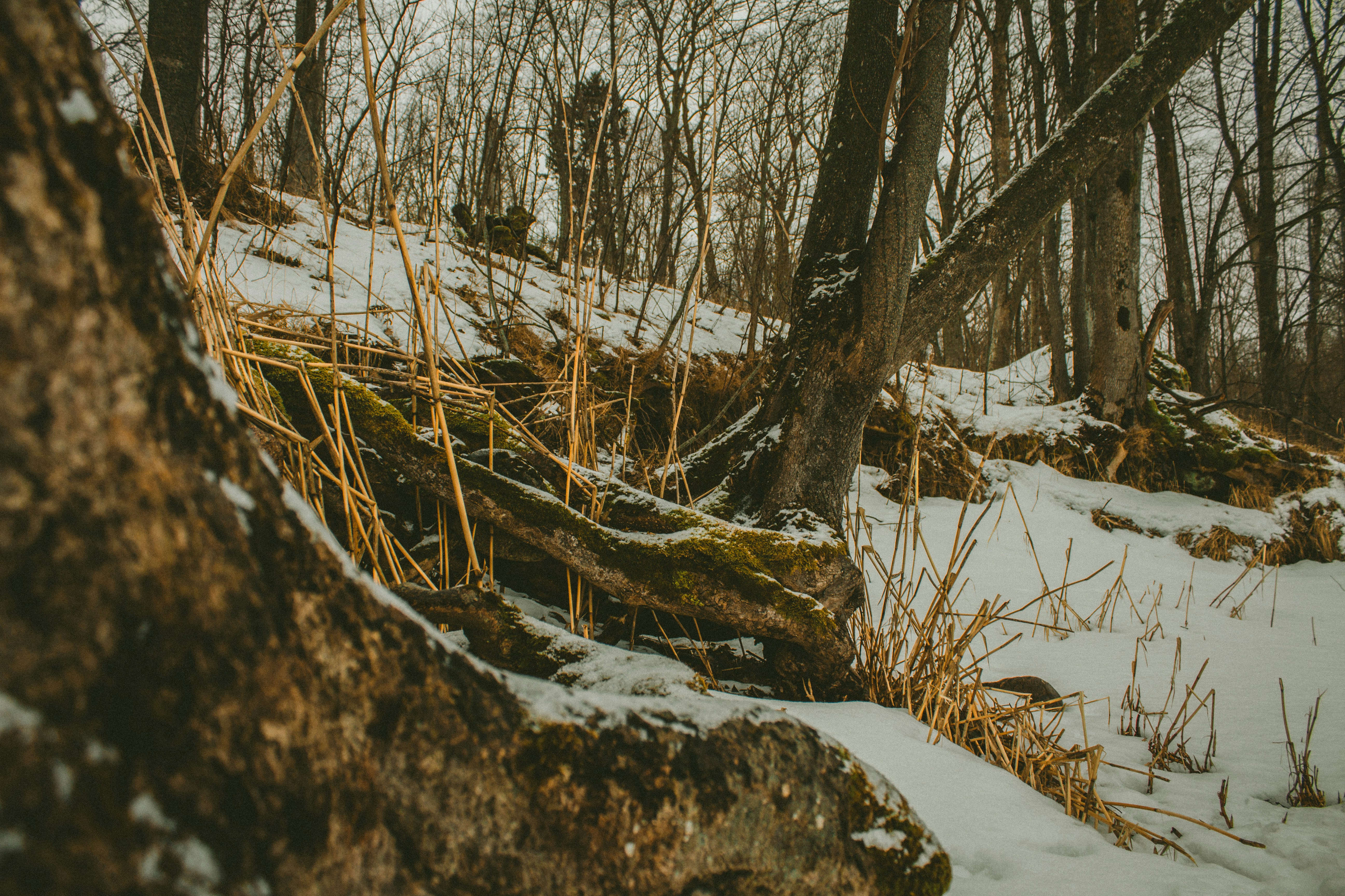 Photo by maximyuryshev