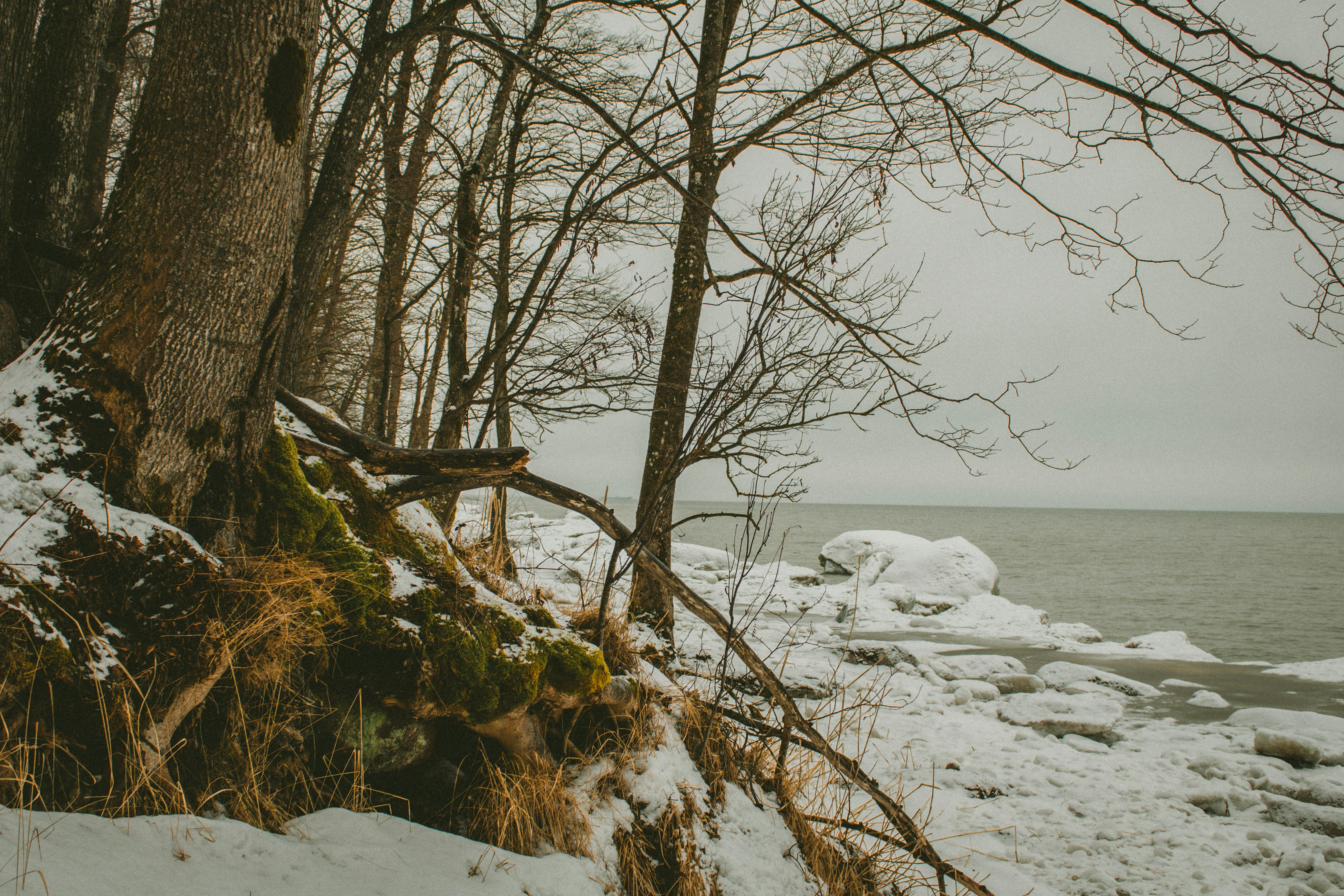 Photo by maximyuryshev