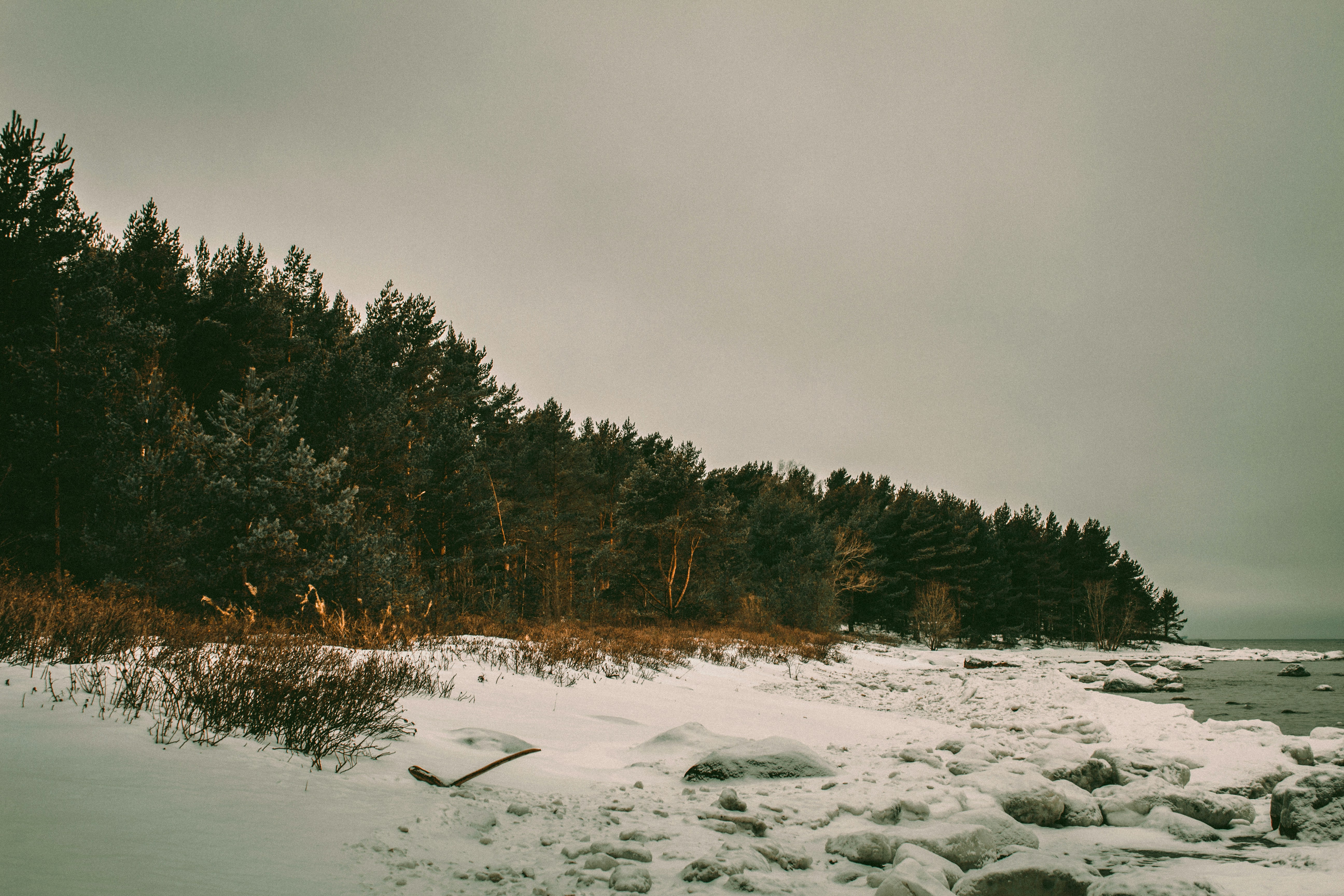 Photo by maximyuryshev